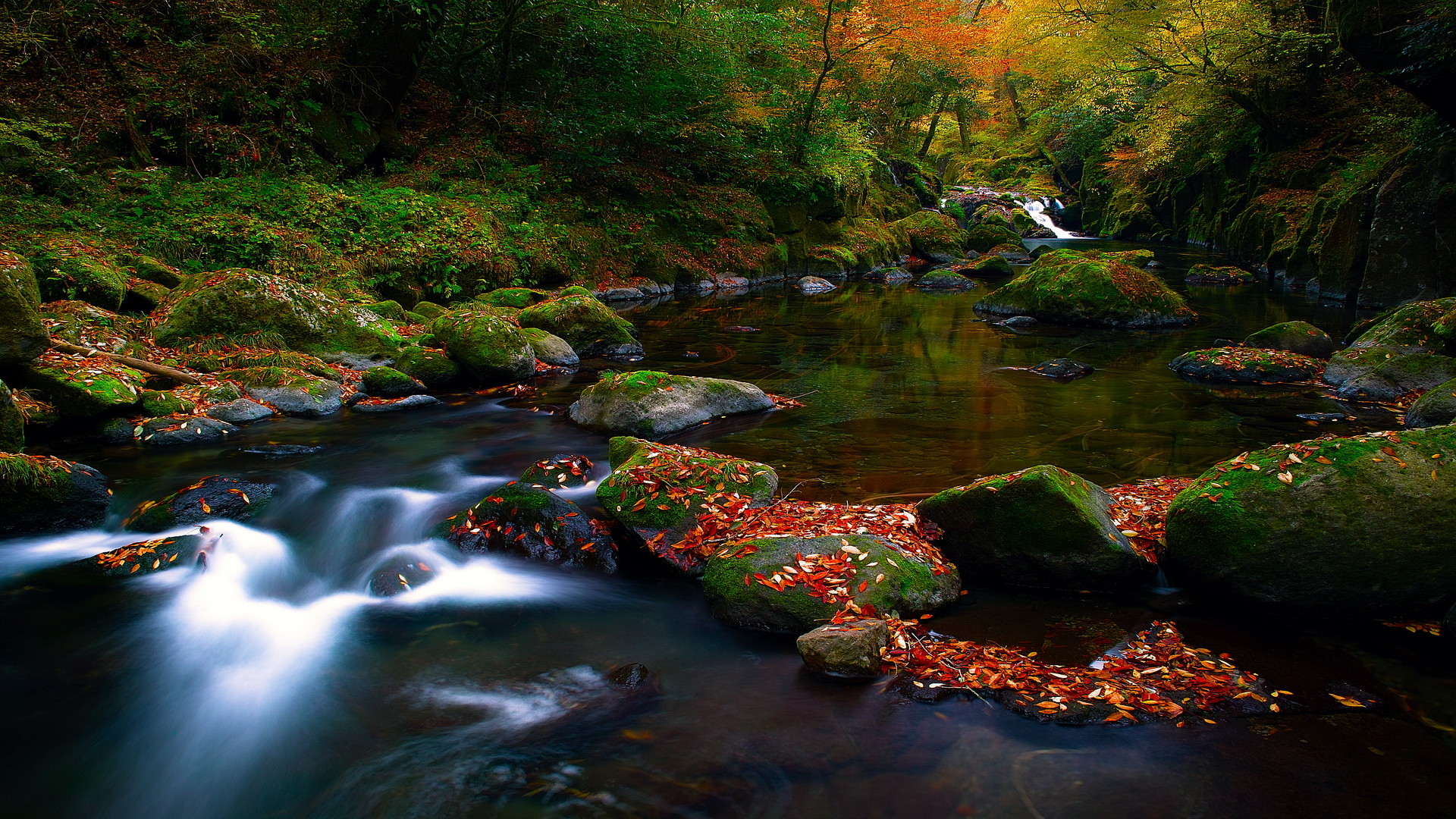 Free Nature Screensavers And Wallpapers For Computer Autumn by