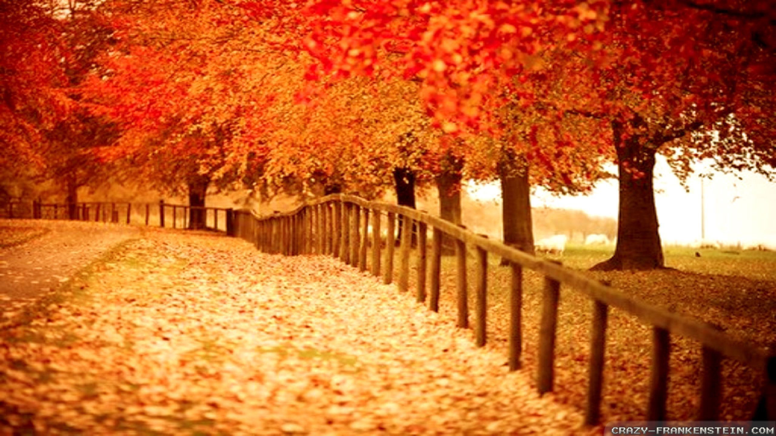 Collection Of Autumn Background Wallpaper On HDWallpapers