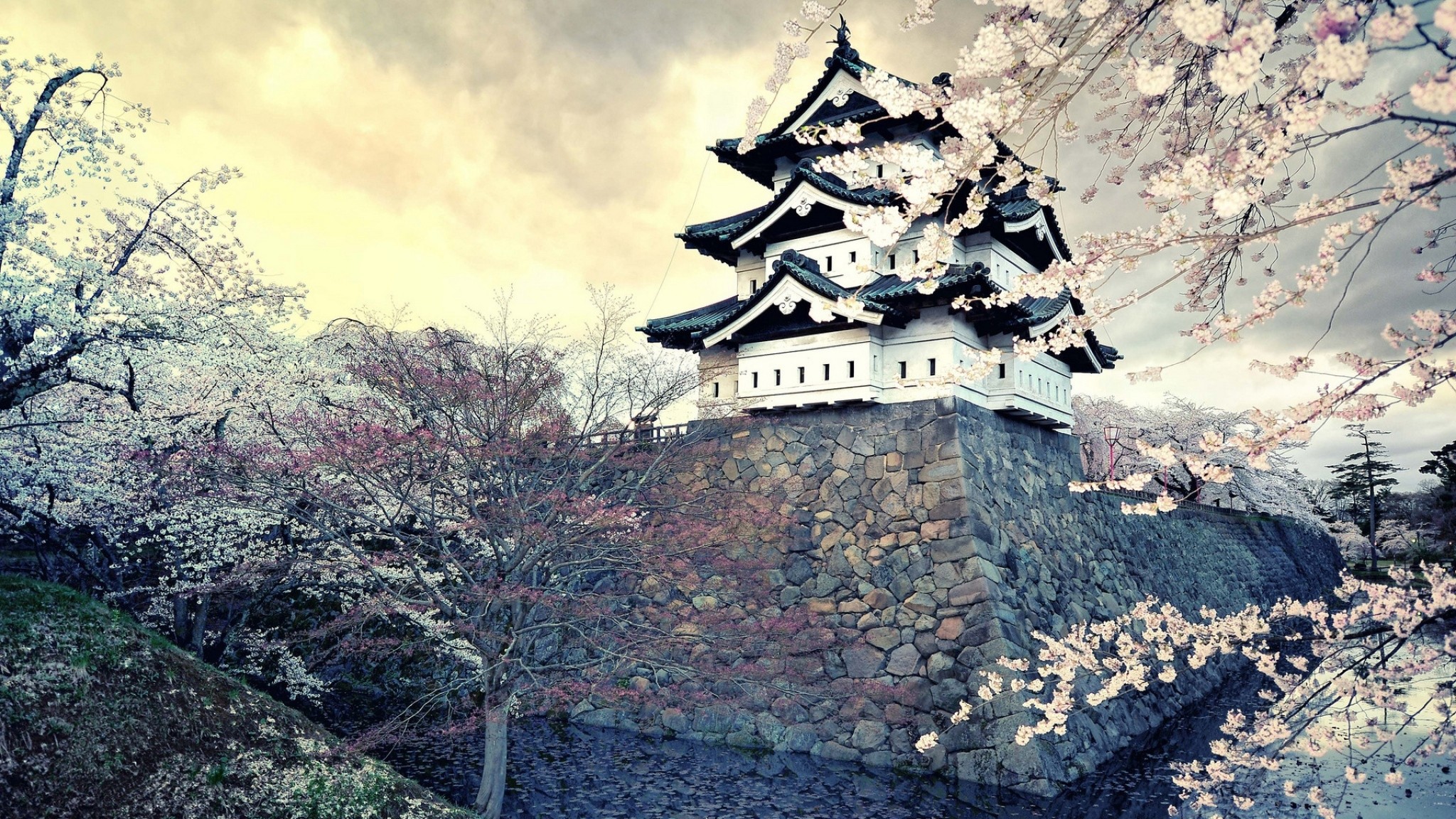 Preview wallpaper city, sakura, japan, spring 2048×1152
