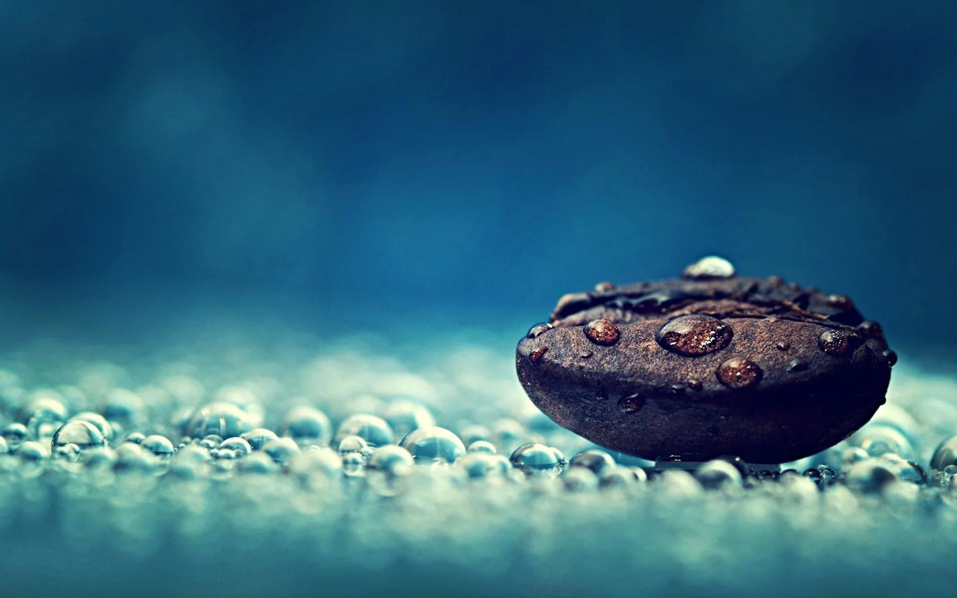 Water drops Relaxation Coffee beans Macro Relaxing HD Wallpapers. Download Desktop Backgrounds, Photos,