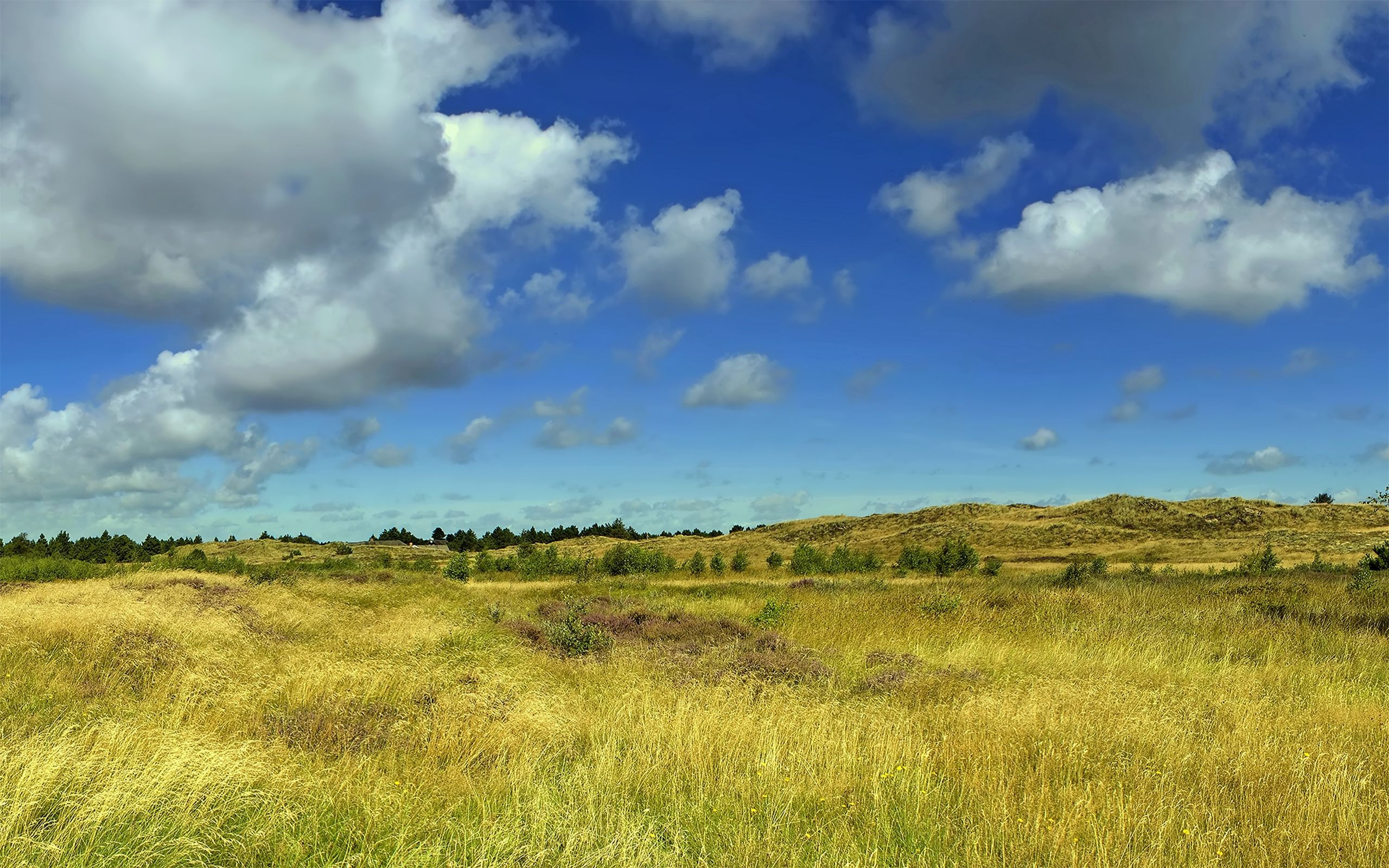 4k Relaxing field and fluffy clouds Wallpaper for desktop and mobile phones