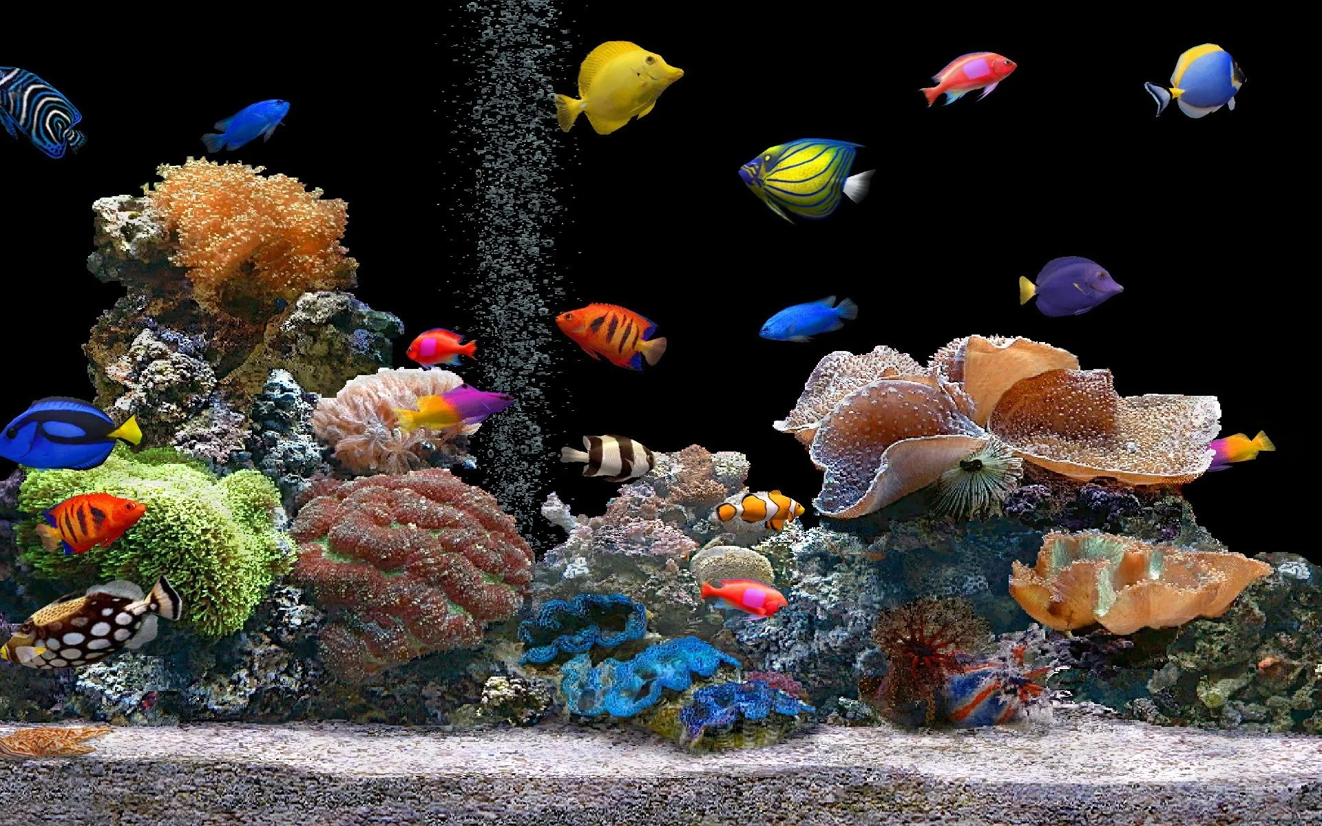 Aquarium Colorful Screensavers wallpapers HD free – 138274