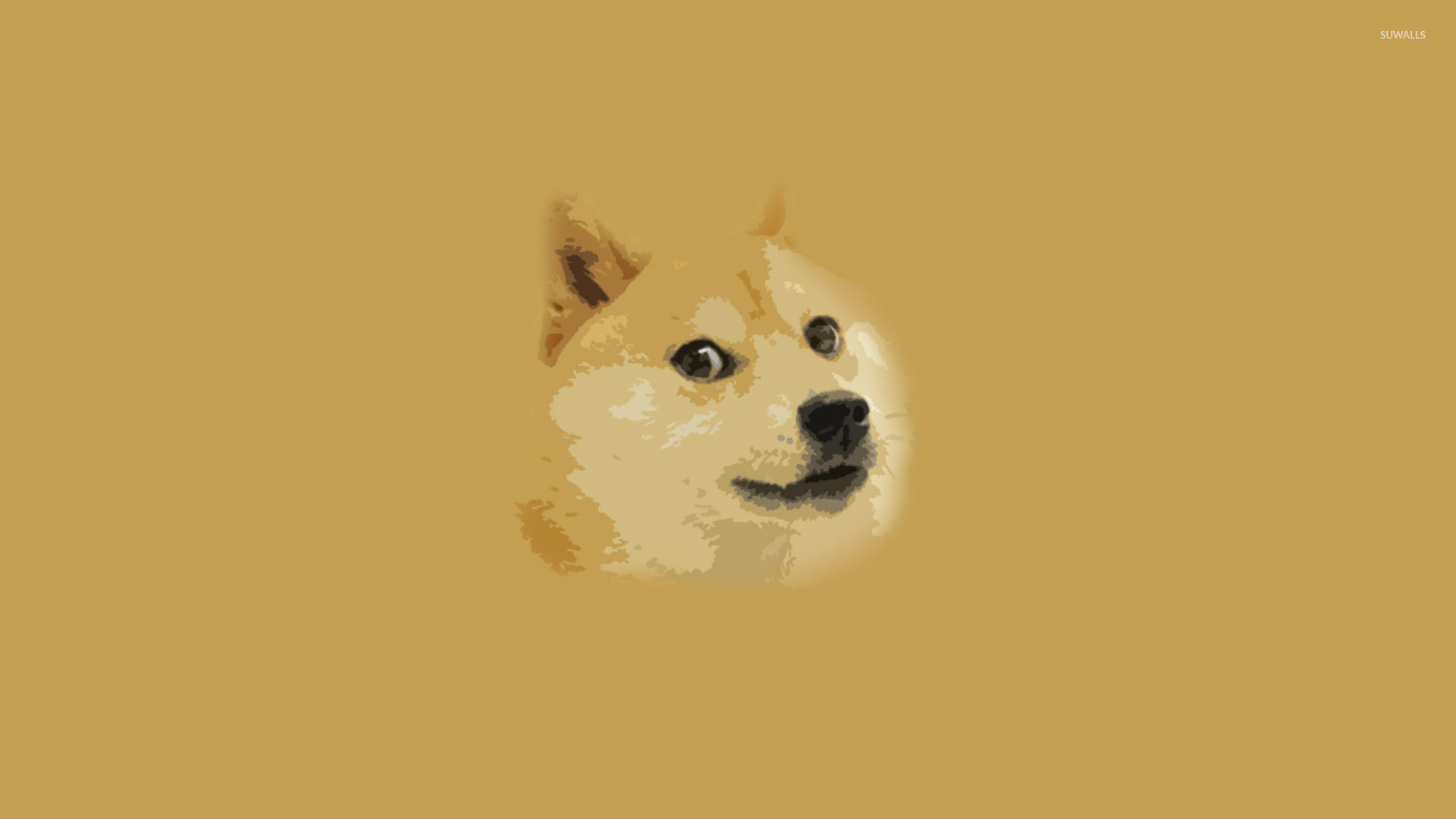 Doge wallpaper 1920×1080