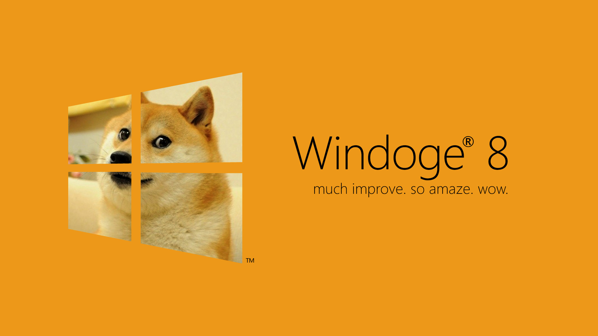 doge windows background