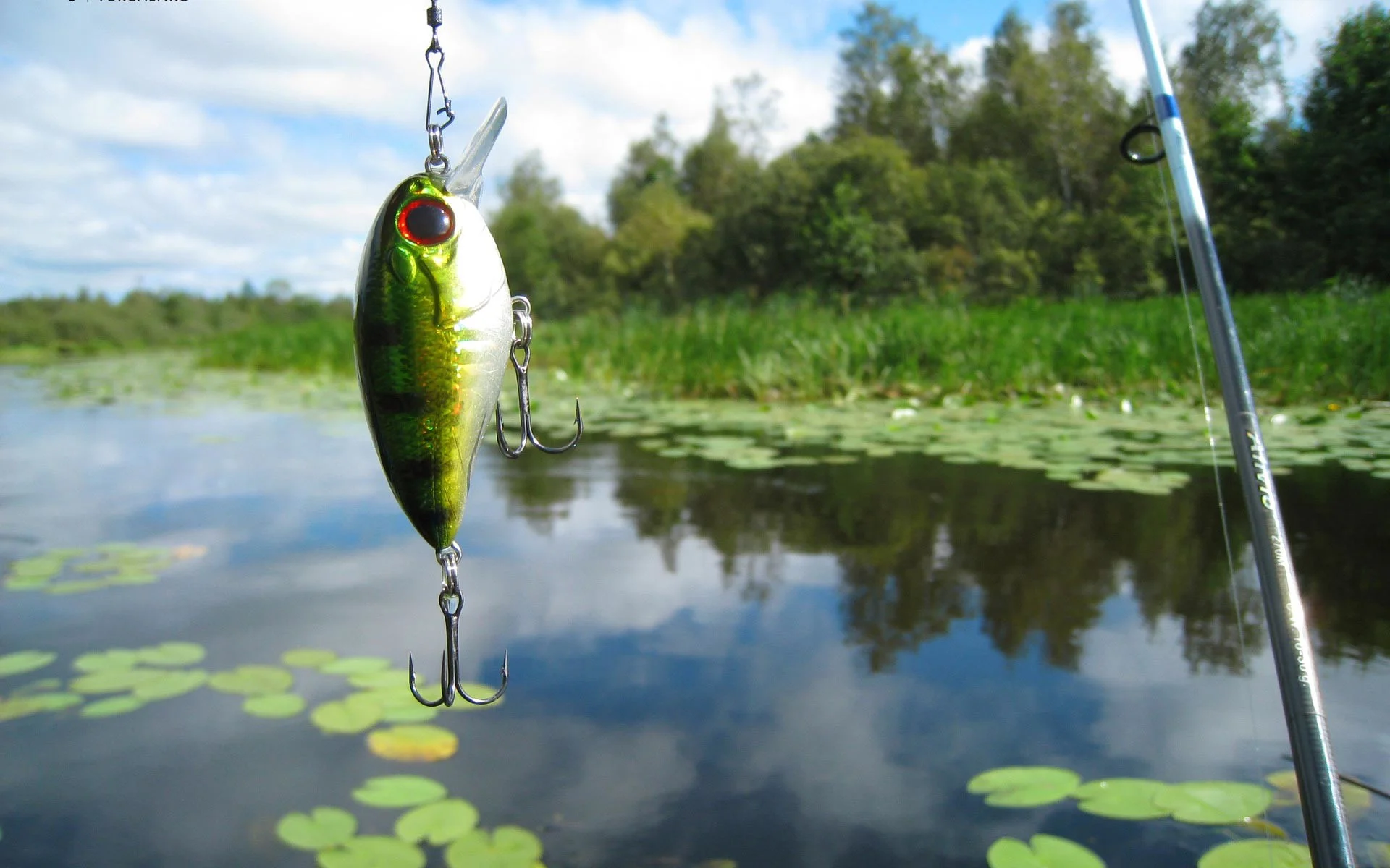 Bass Fishing Wallpaper Hd Fishing wallpaper 5