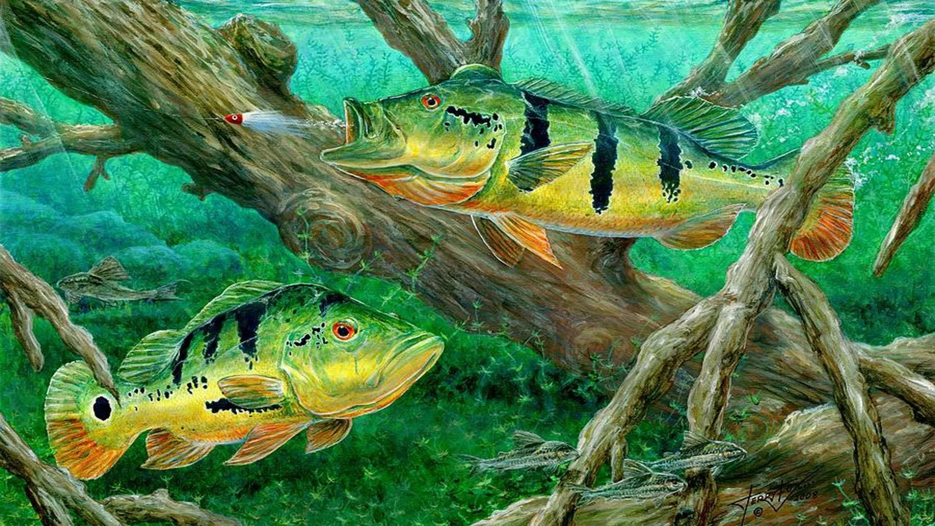 Bass fishing wallpapers hd 9