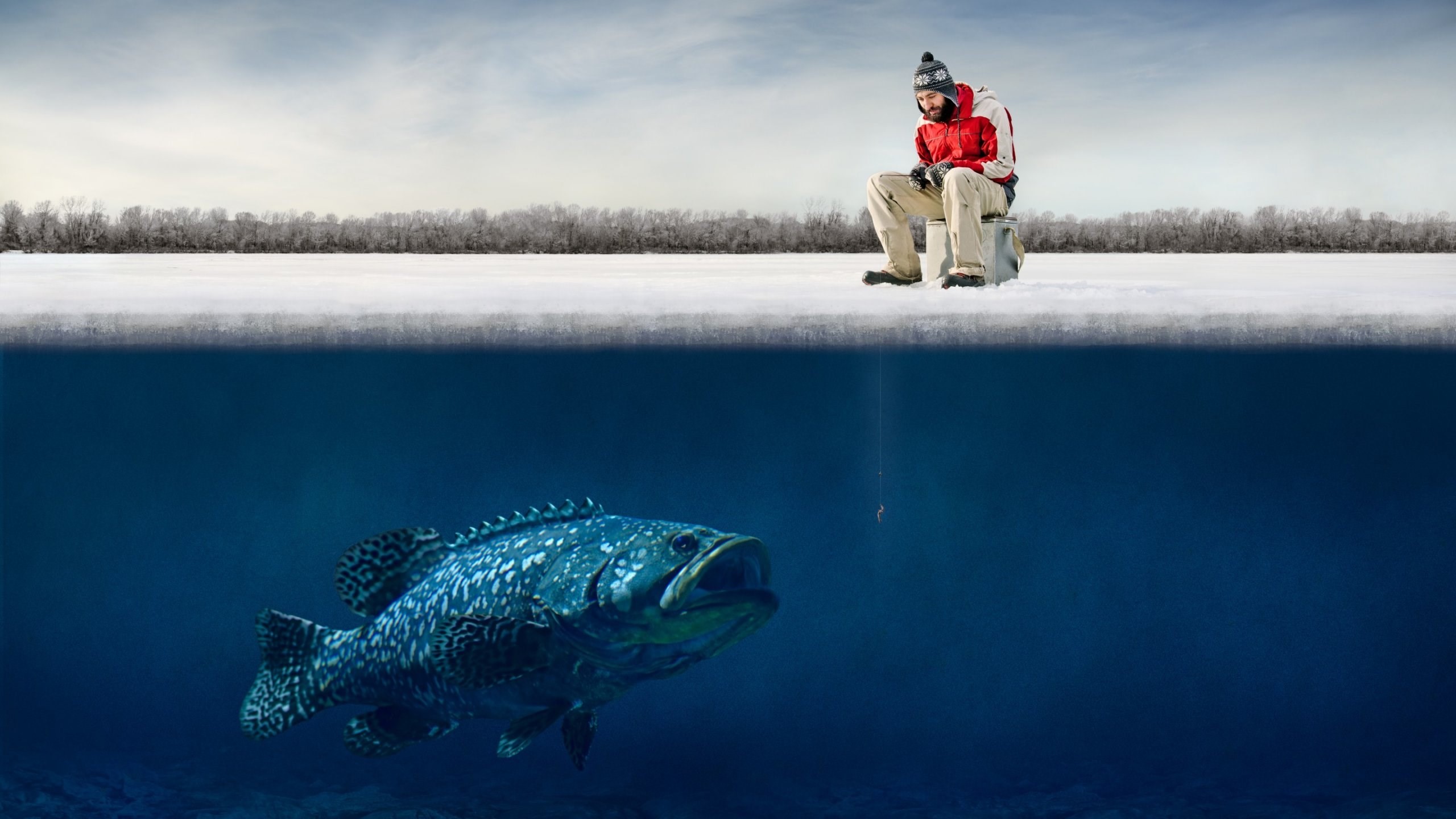 Wallpaper.wiki Funny Bass Fishing Image PIC WPC009900