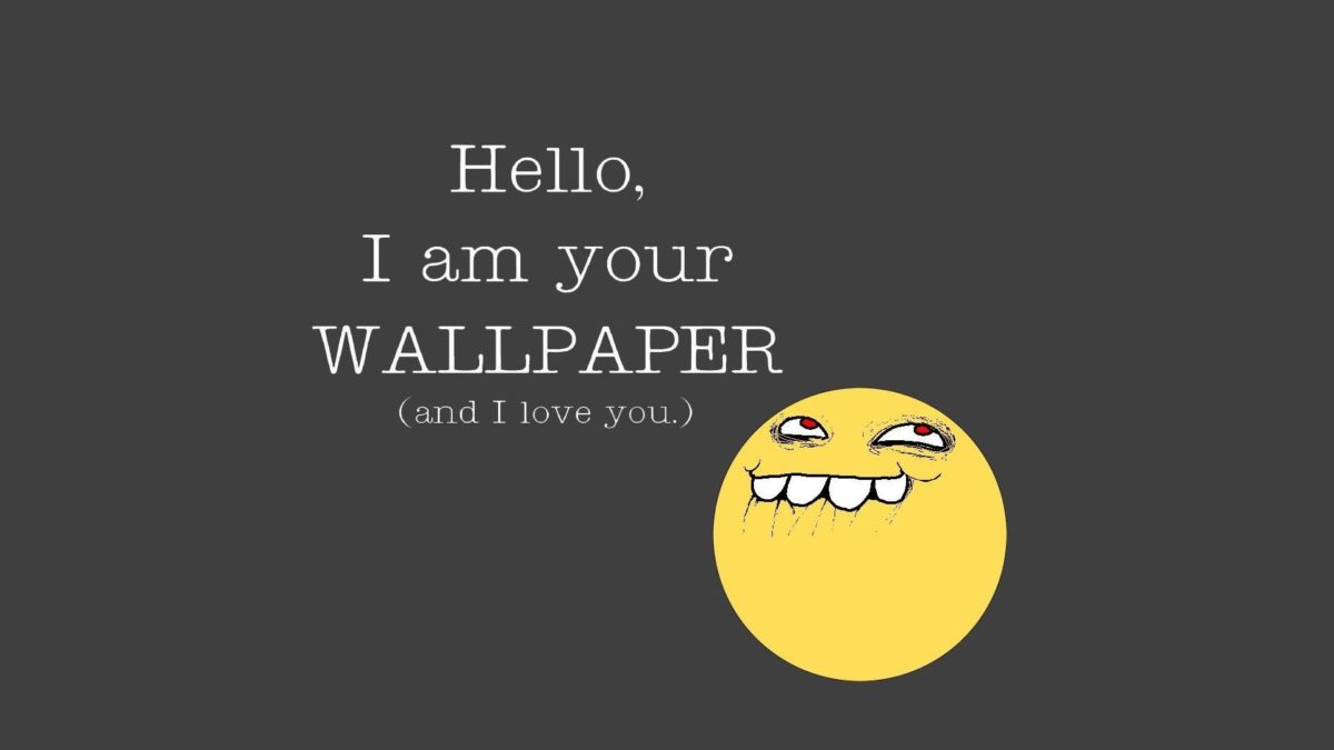 Funny Meme Wallpaper – WallpaperSafari