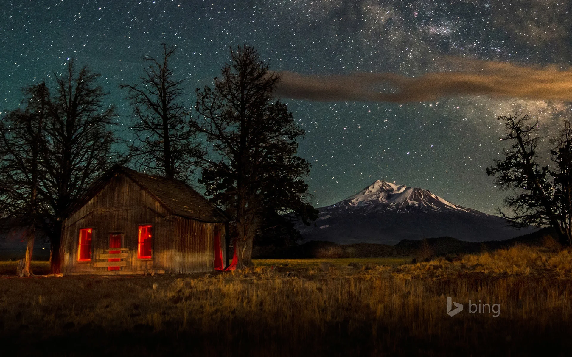 Download Bing's best images of 2013 – Wallpaper and Screensaver pack
