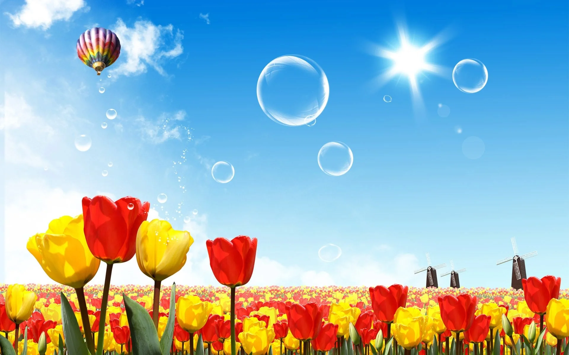 Most beautiful colorfull flowers airbaloon picture wallpaper screensaver