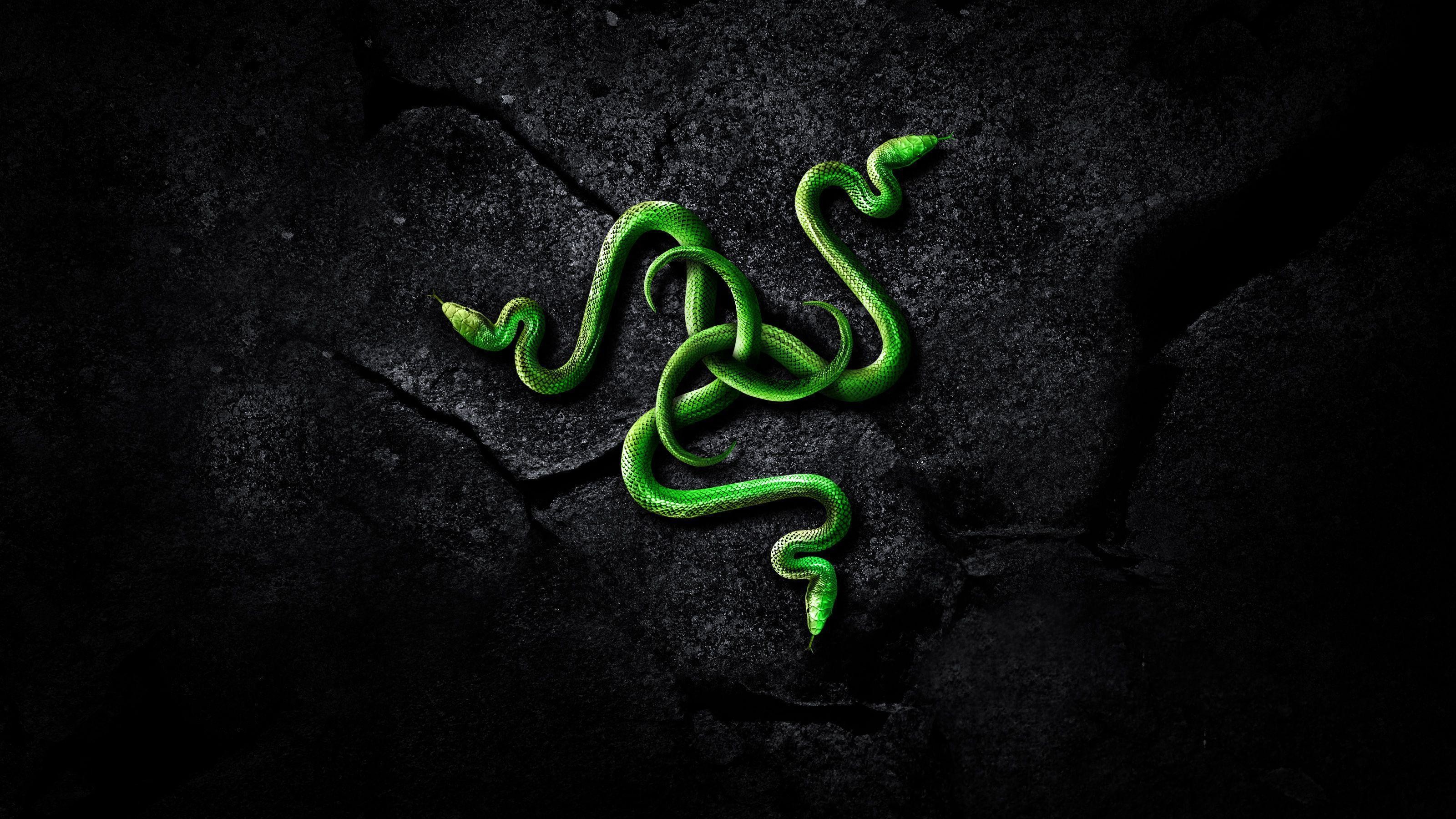 Razer Wallpaper 4K – WallpaperSafari