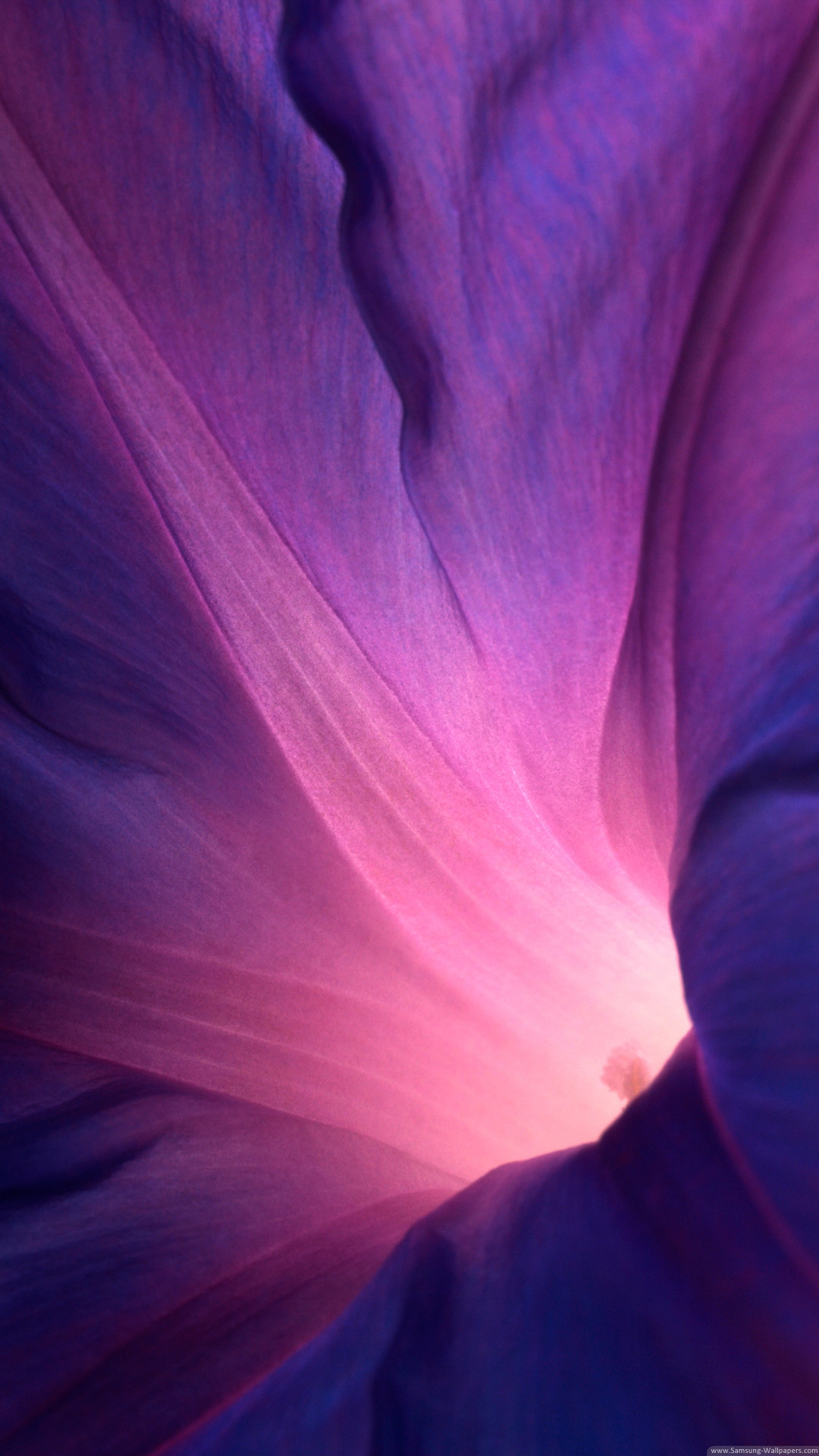 Download Sony Xperia Z1 Official Stock Flower Lock Screen iPhone 6 Plus HD Wallpaper