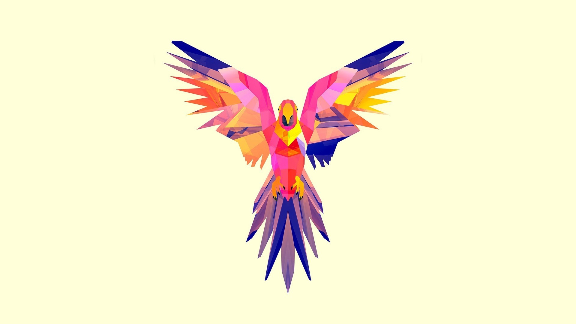 Polygon parrot