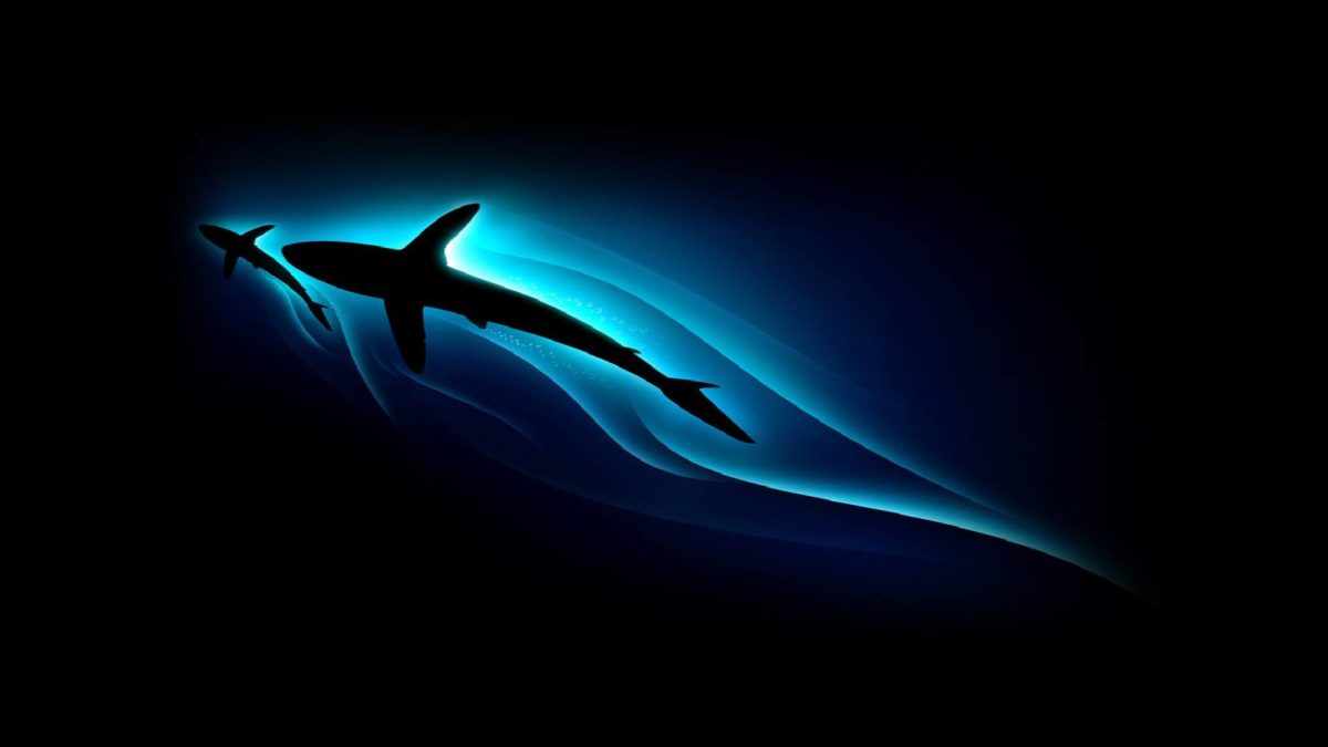 71+ Cool Desktop Wallpaper HD