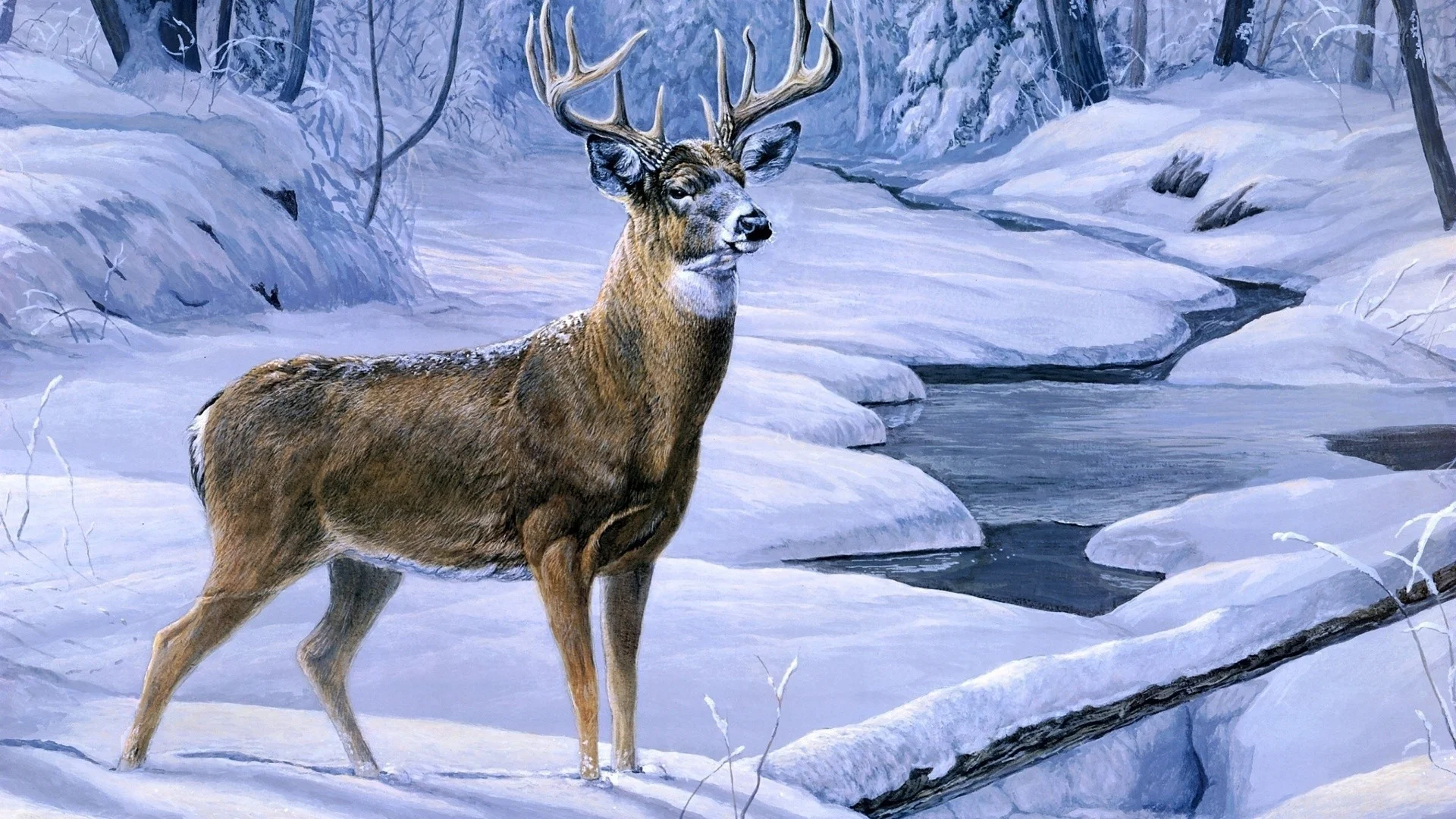 Hd Deer Hunting Wallpaper