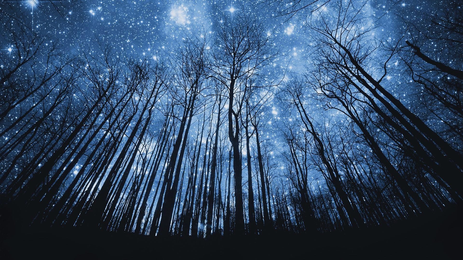 Starry Night desktop wallpapers HD