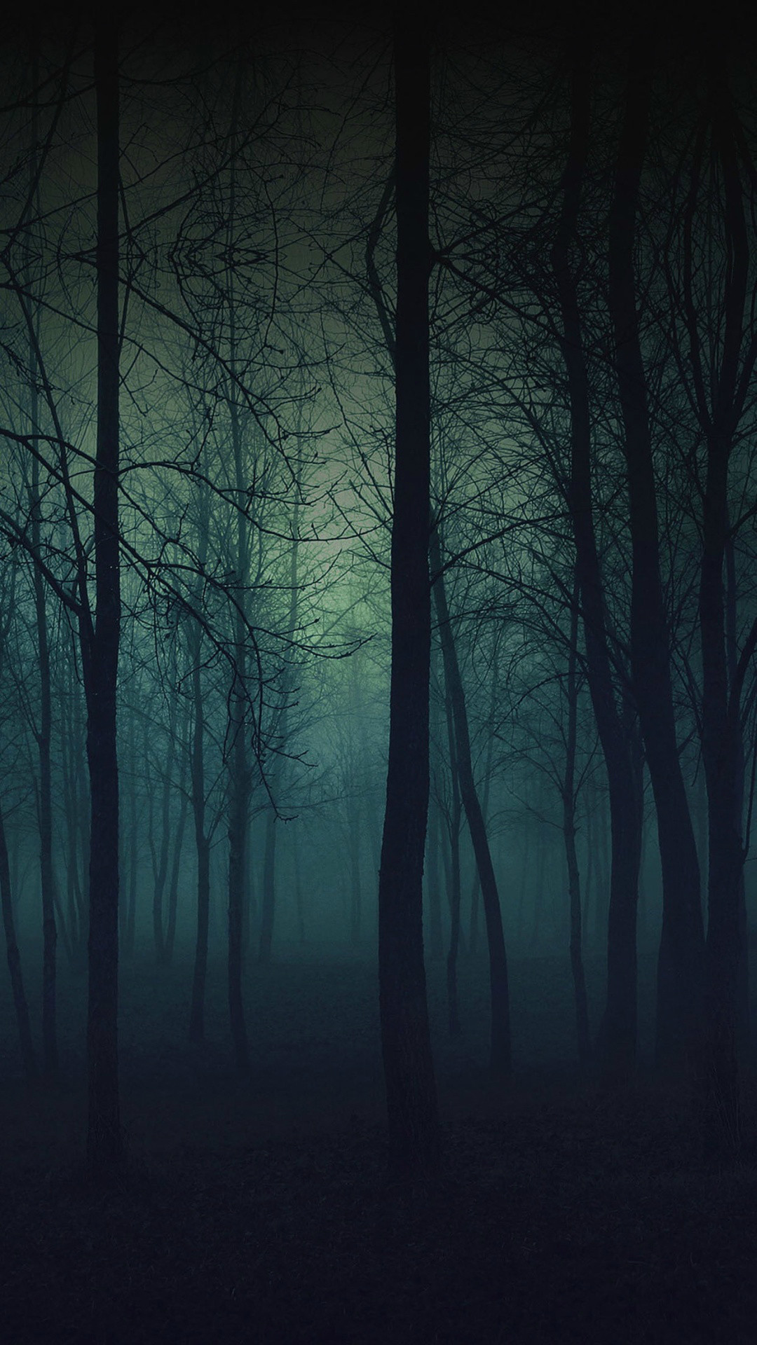 Eerie Forest Night iPhone 6 Plus HD Wallpaper