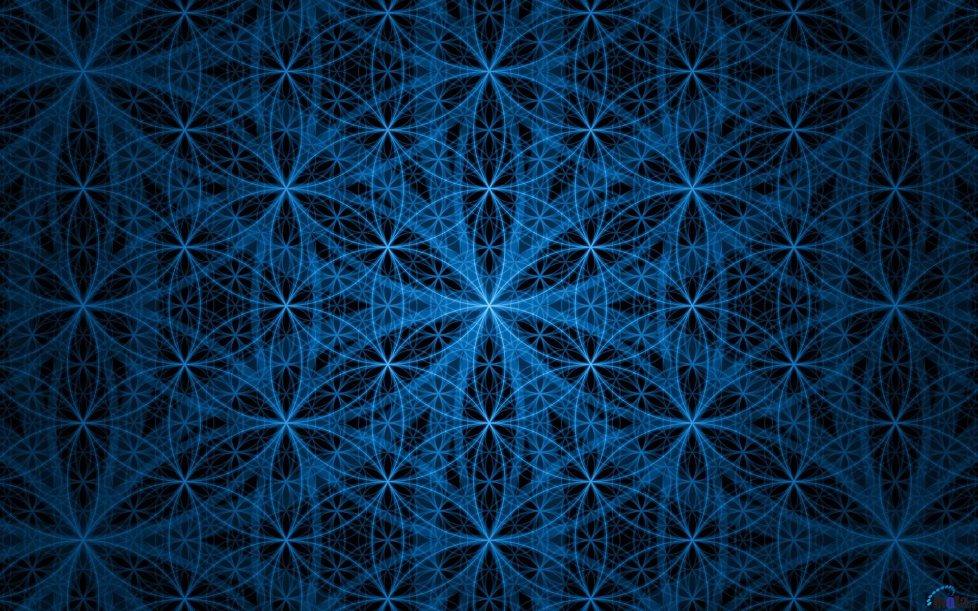 Flower of Life Wallpapers  Top Free Flower of Life Backgrounds   WallpaperAccess