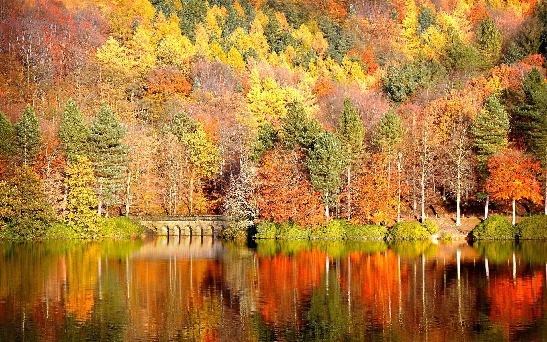 Cute Autumn Free Desktop Wallpaper – WallpaperSafari