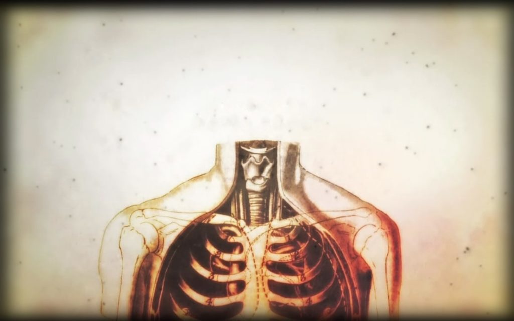 58+ Anatomy Wallpaper HD