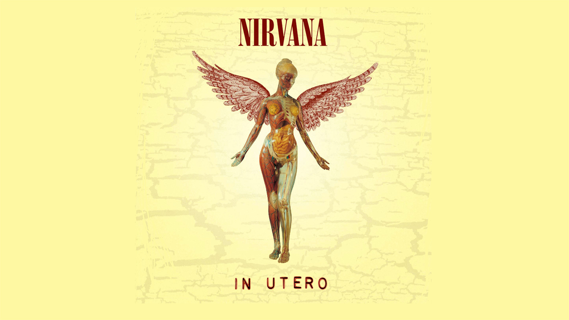 Music – Nirvana Angel Album Cover Woman Anatomy Wallpaper