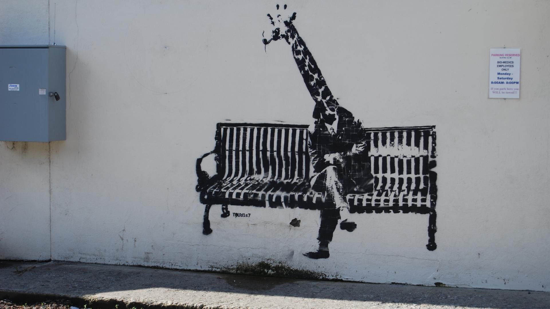 General artwork animals graffiti wall Banksy bench sitting legs giraffes shadow street art