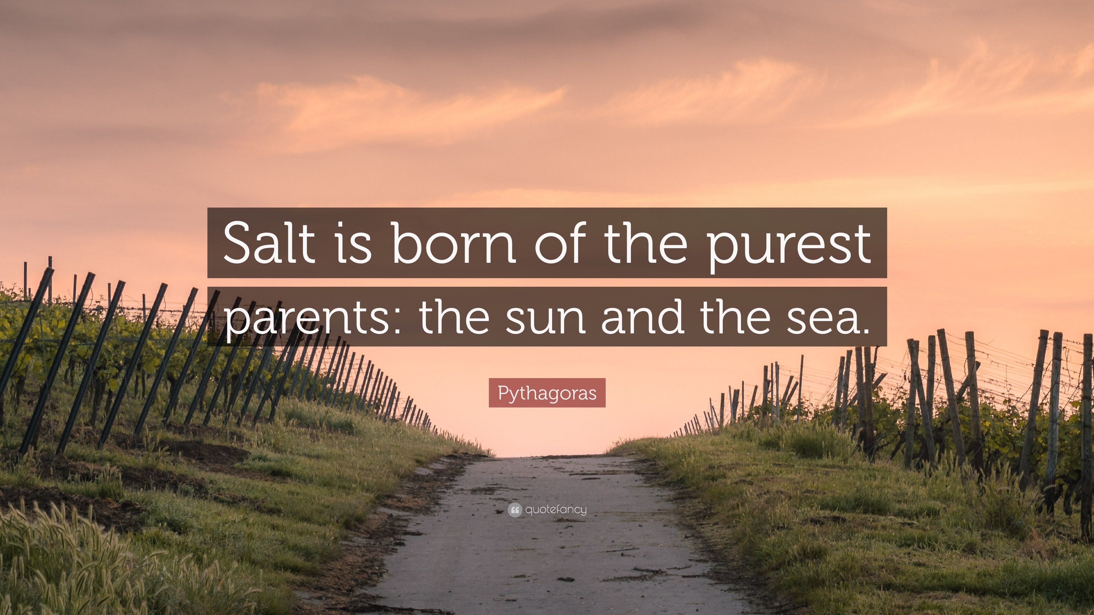 Pythagoras Quote: “Salt is born of the purest parents: the sun and the