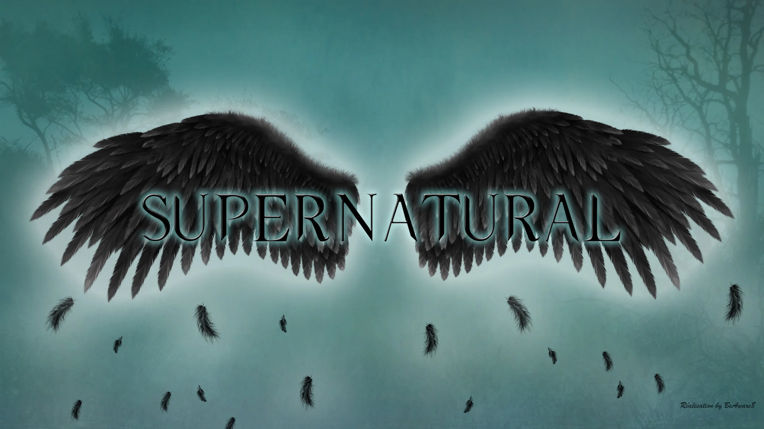 Supernatural – the fallen angel wings by BeAware8