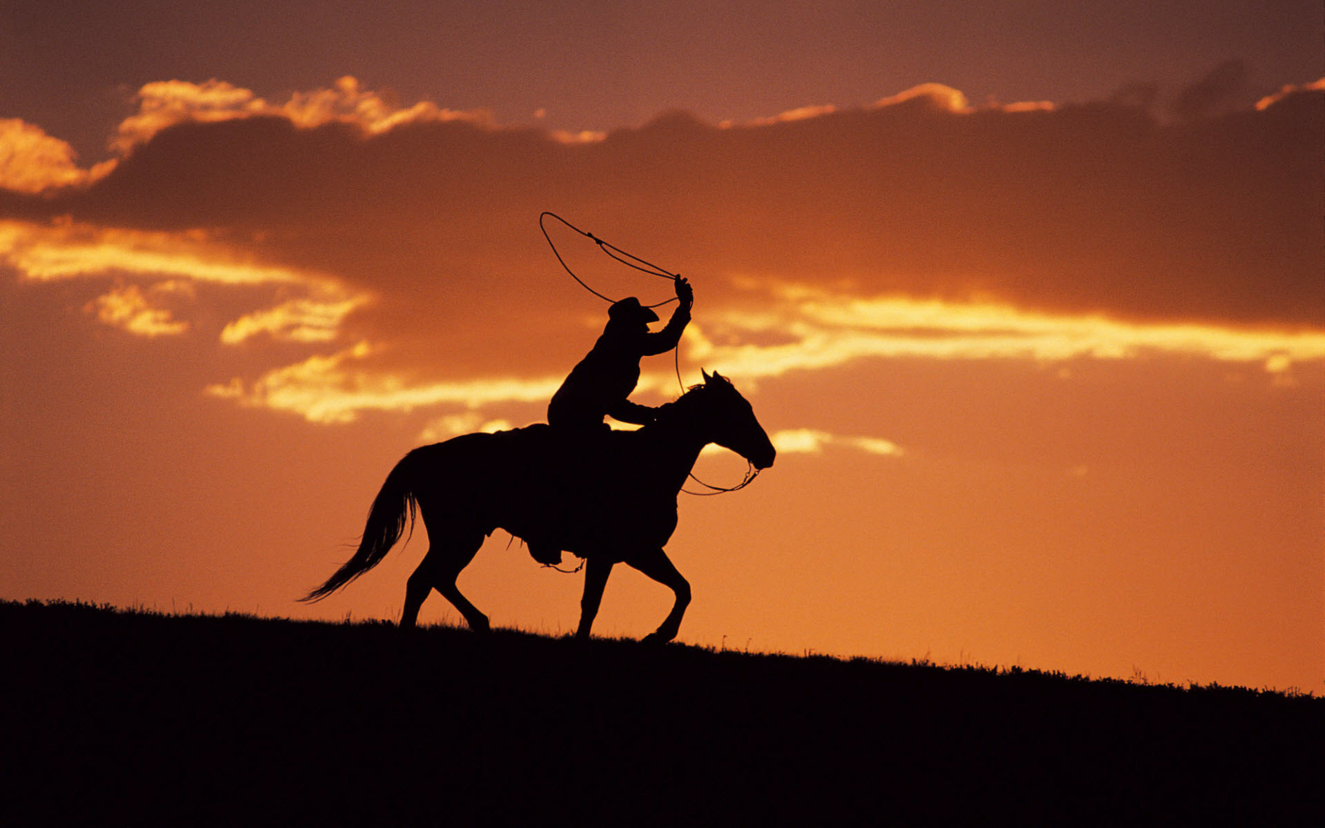 Western Cowboy at Sunset HD Wallpaper, Western Cowboy at Sunset