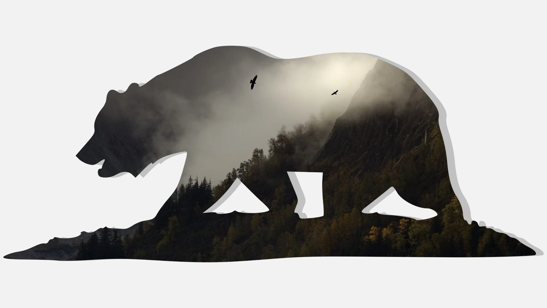 California Bear Wallpaper