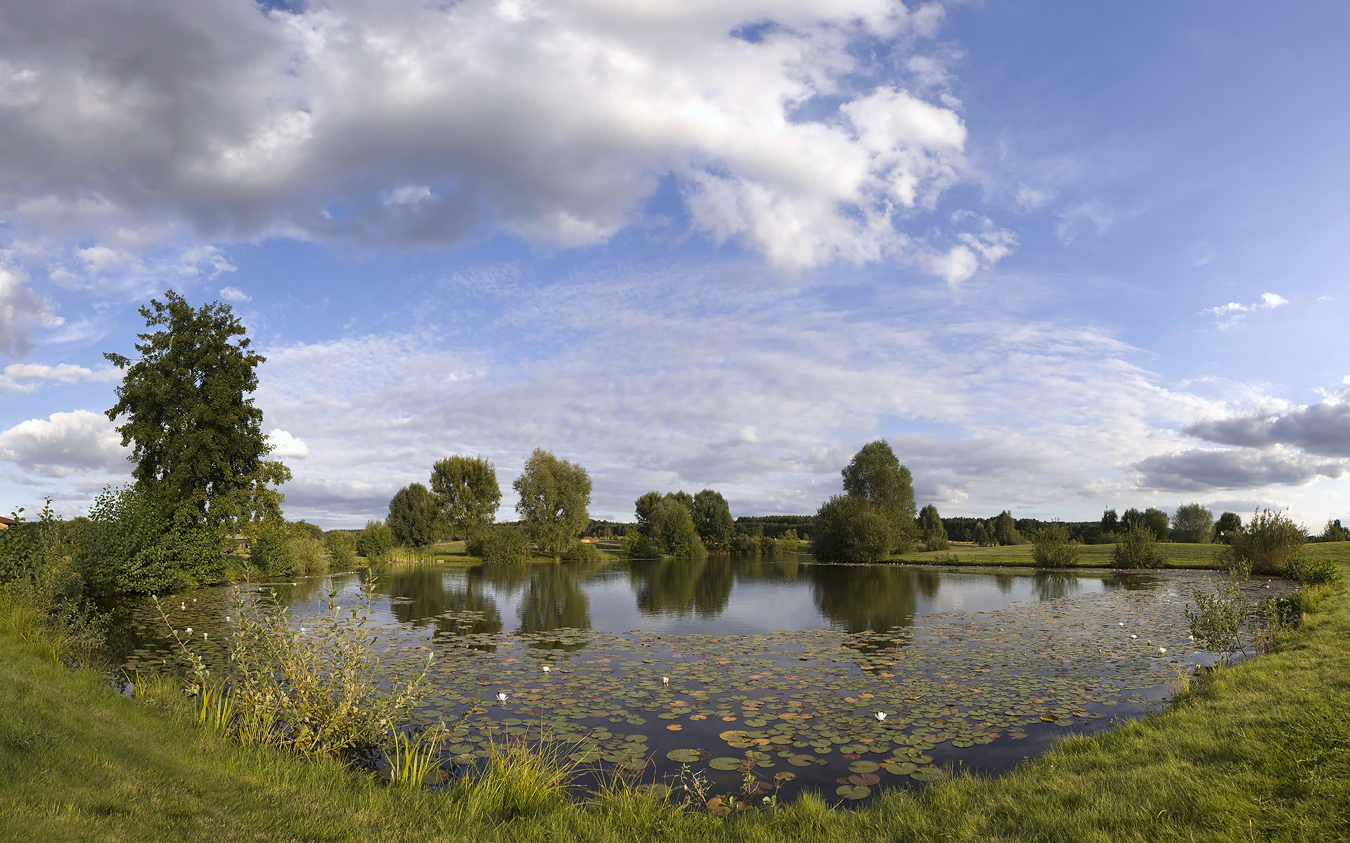 Teich Landschaft