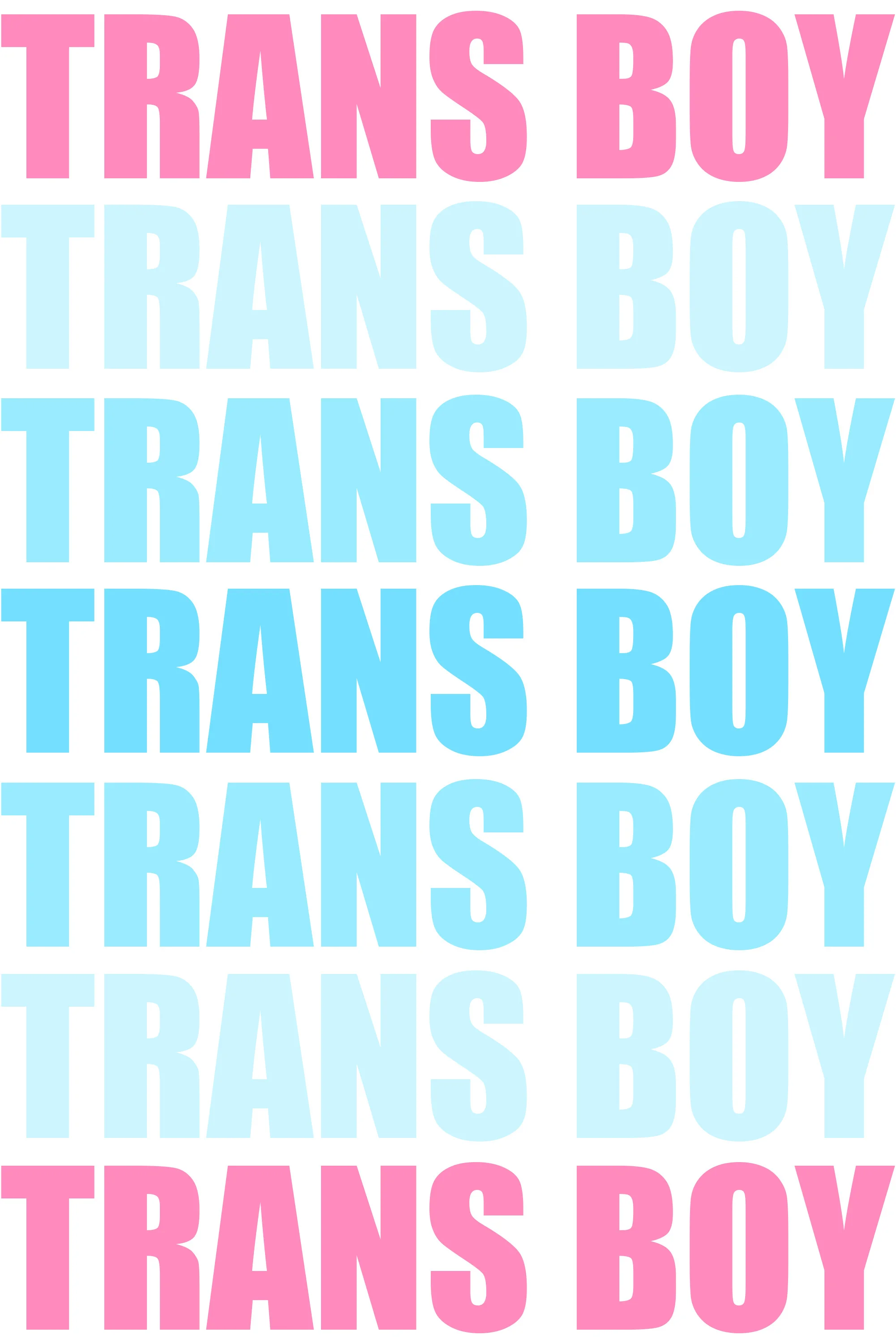 Trans Boy Typography by Pride Flags