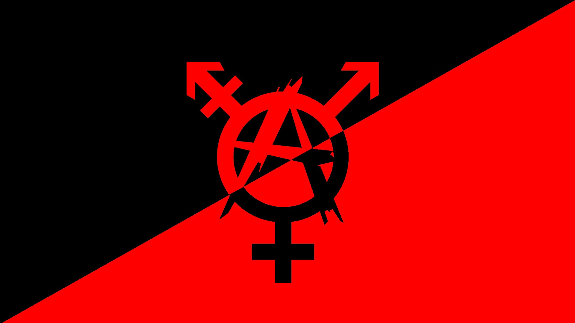 Trans Anarcho Communist Flag