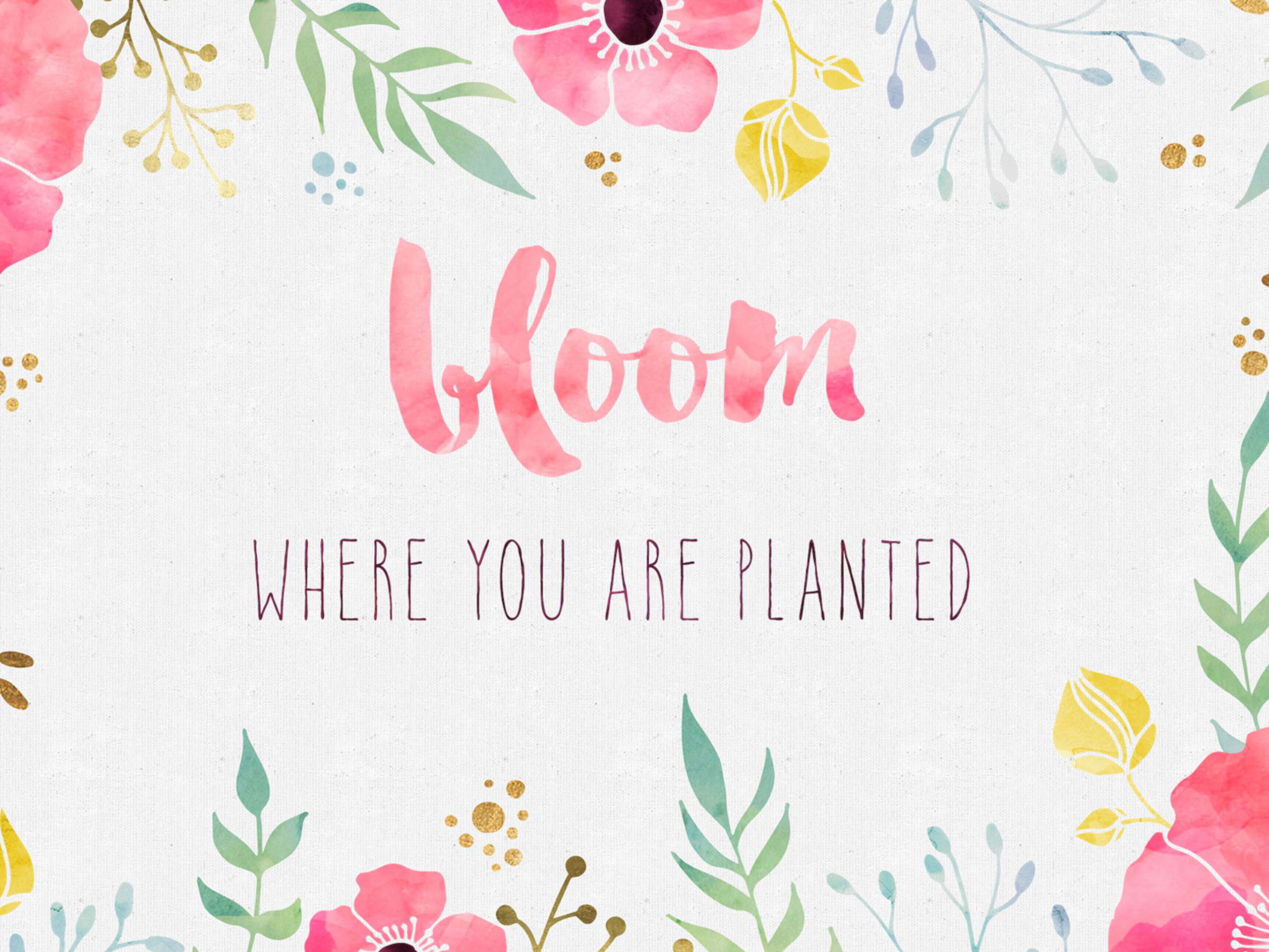 Free Desktop Wallpaper – Bloom Where you are Planted