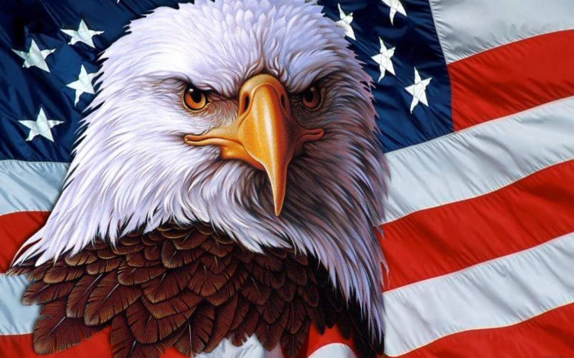 Eagle Front American Flag dom American Flag HD wallpaper  Pxfuel