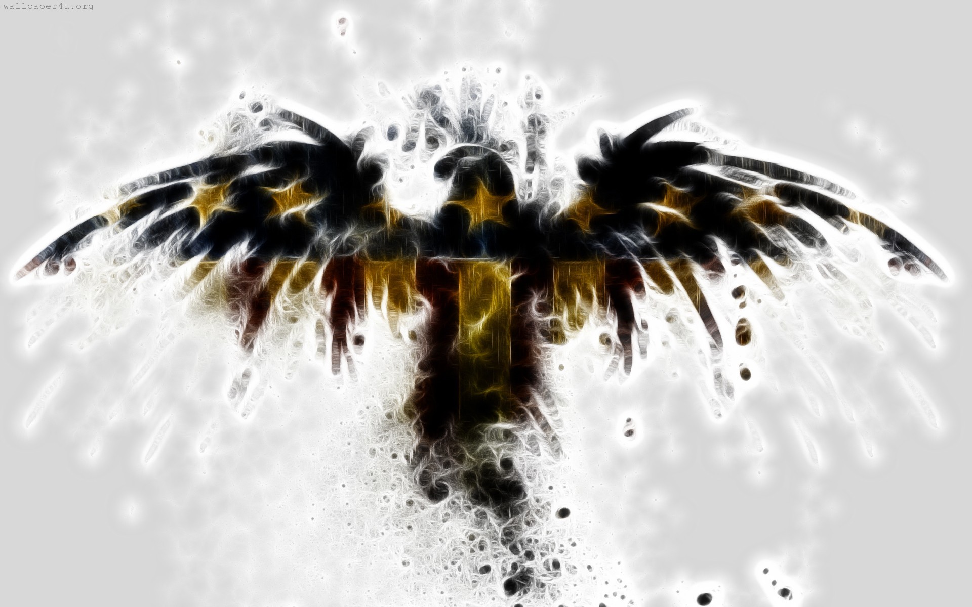 Eagle Wallpapers Download Eagle HD Wallpapers for Free GuoGuiyan 19201200