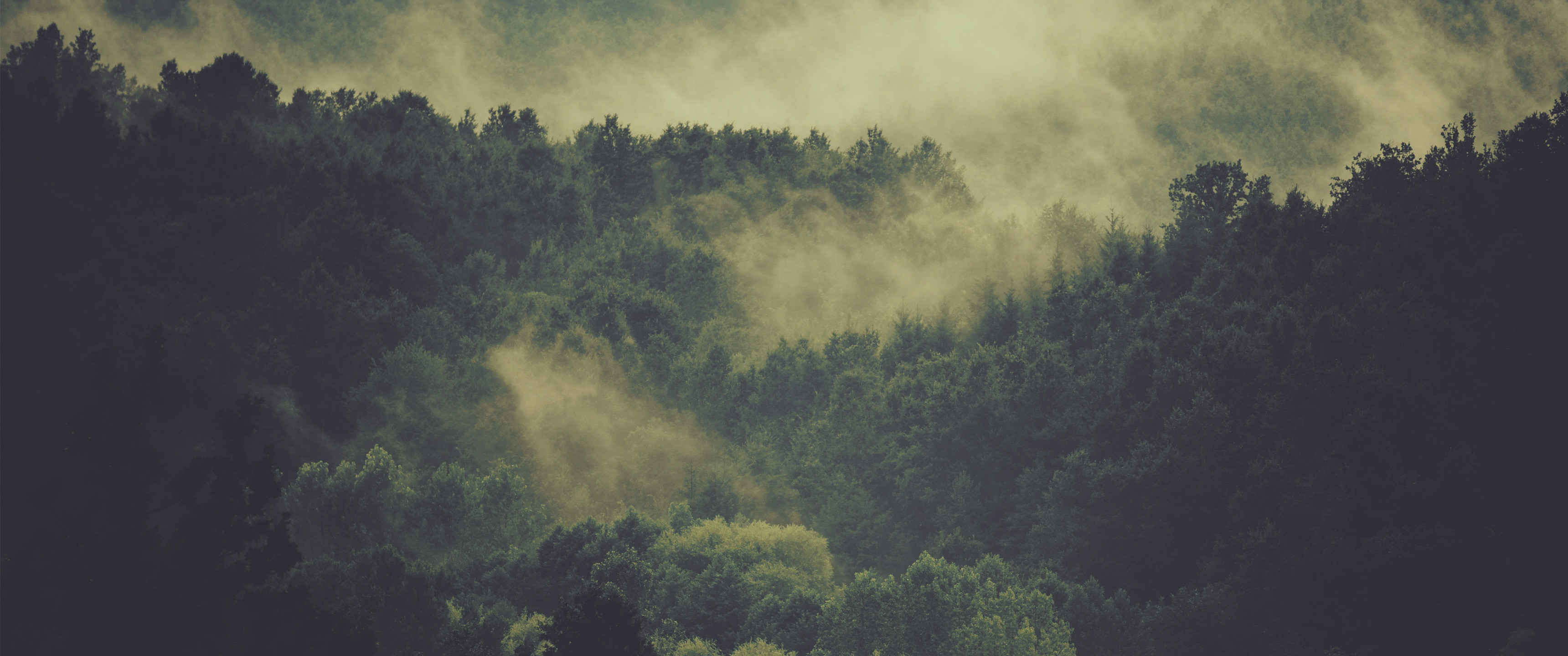 Hovering Fog – 21:9 Ultrawide HD Wallpaper (3440×1440)