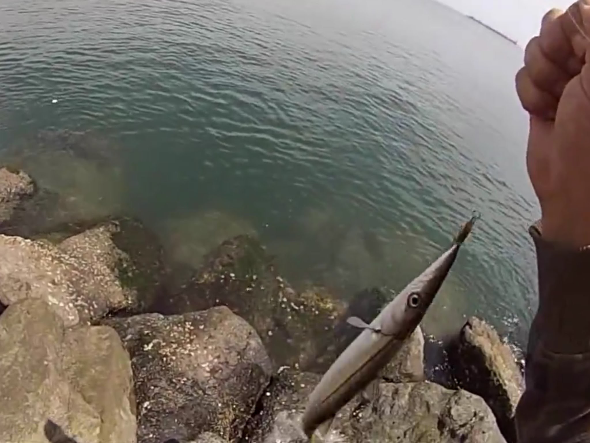 Saltwater: Barracuda Fishing Penn Fierce 2000 & Kastmaster Lures – YouTube
