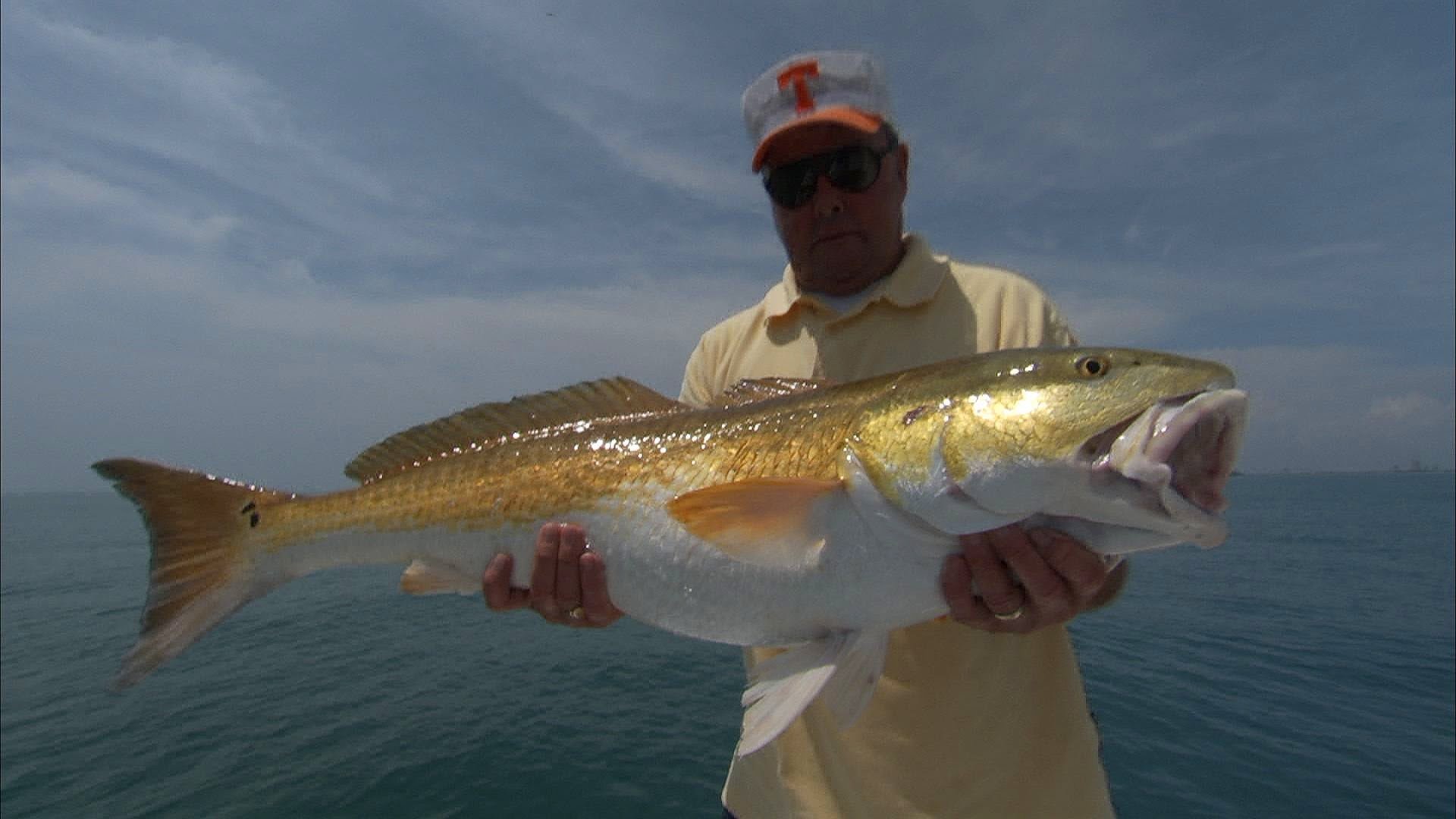 Fishing for Bull Reds and Jack Crevalle on the Space Coast with Bill Dance  – YouTube