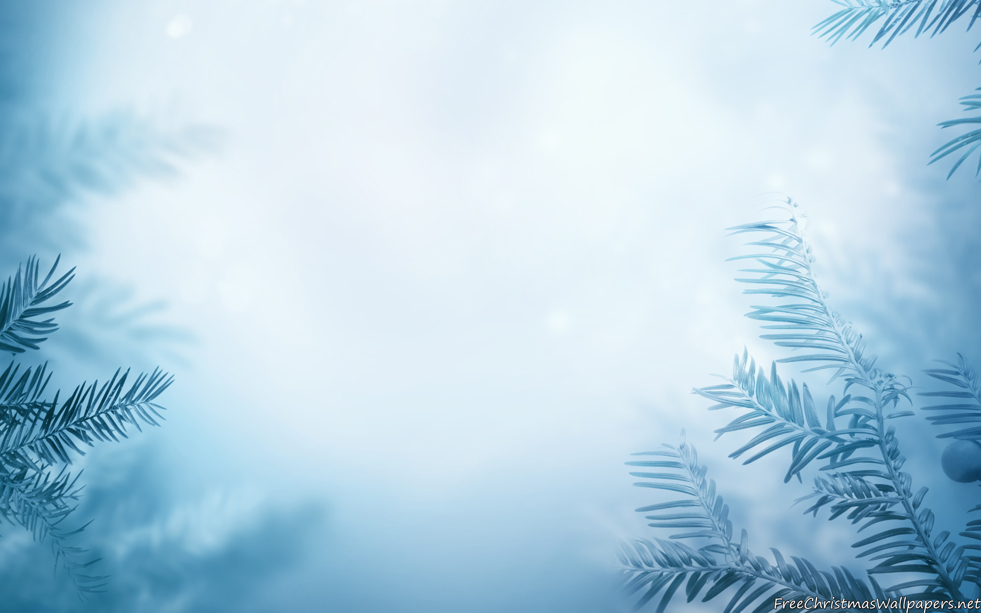 Christmas Winter Backgrounds