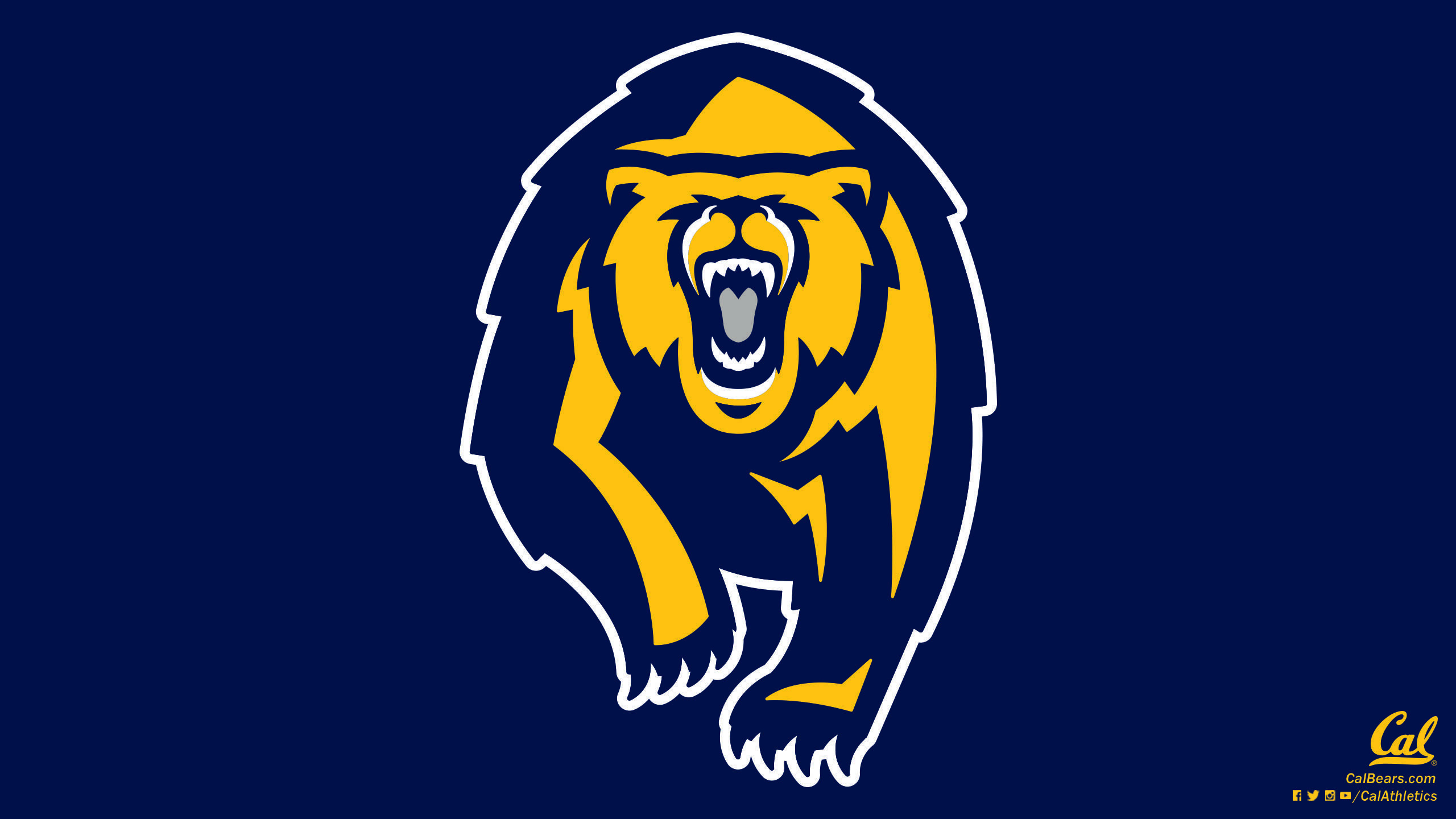 Логотип медведя на флаге