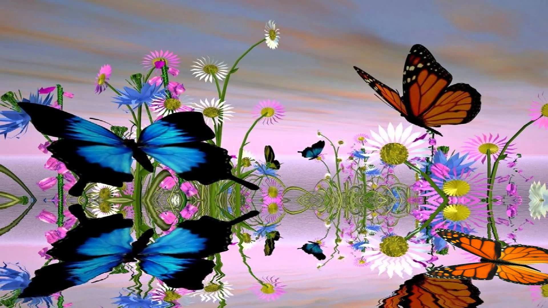 Fantastic Butterfly Animated Wallpaper ktopanimated.com – YouTube