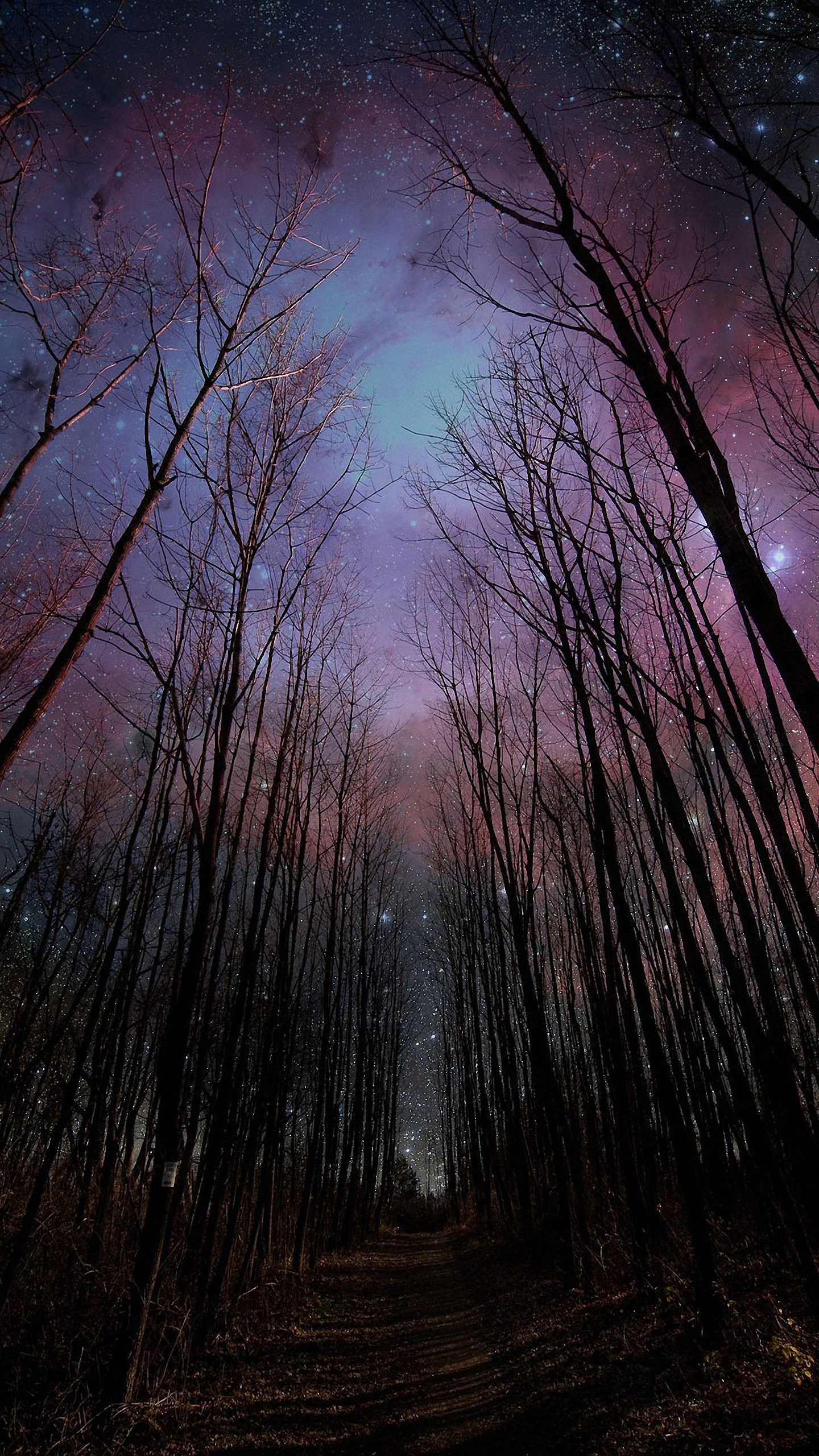 AMOLED Galaxy 1440p amoled galaxy lights night samsung sky space  starry night HD phone wallpaper  Peakpx