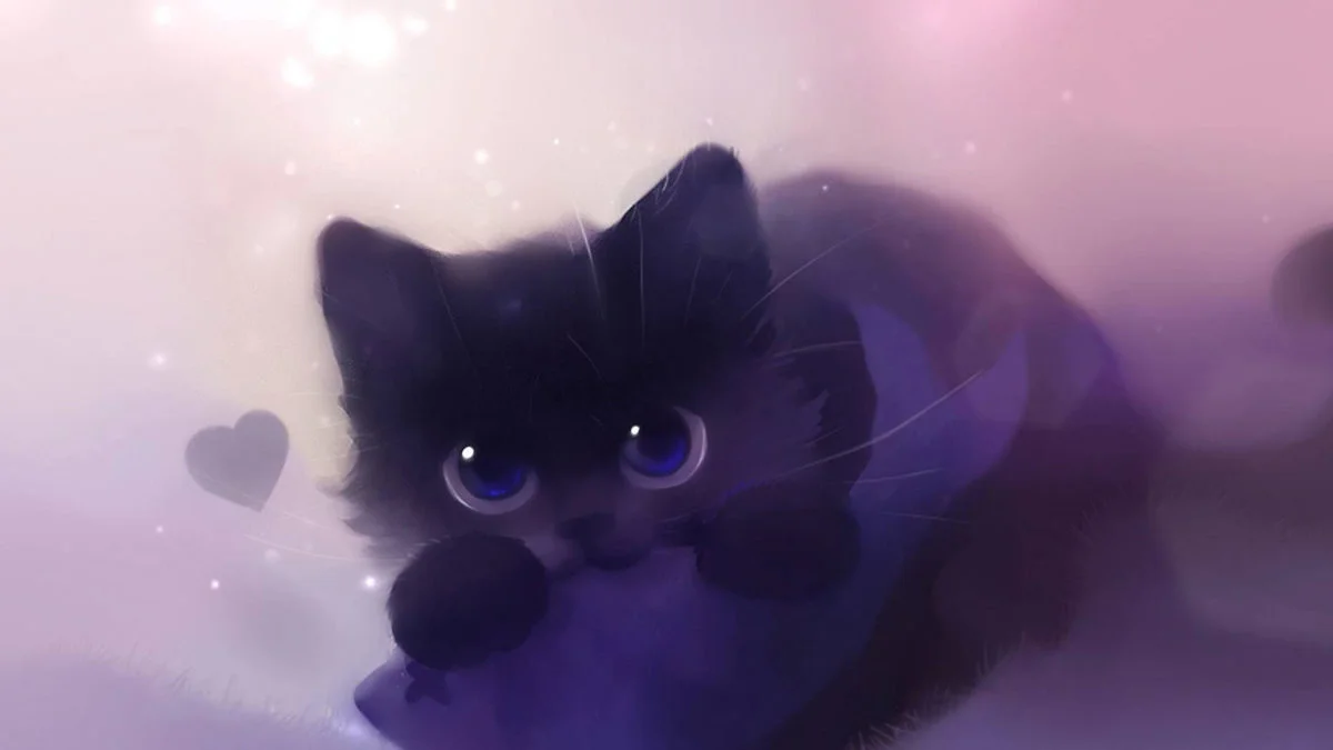 Hd pics photos cute black cat 2d animated hd quality desktop background