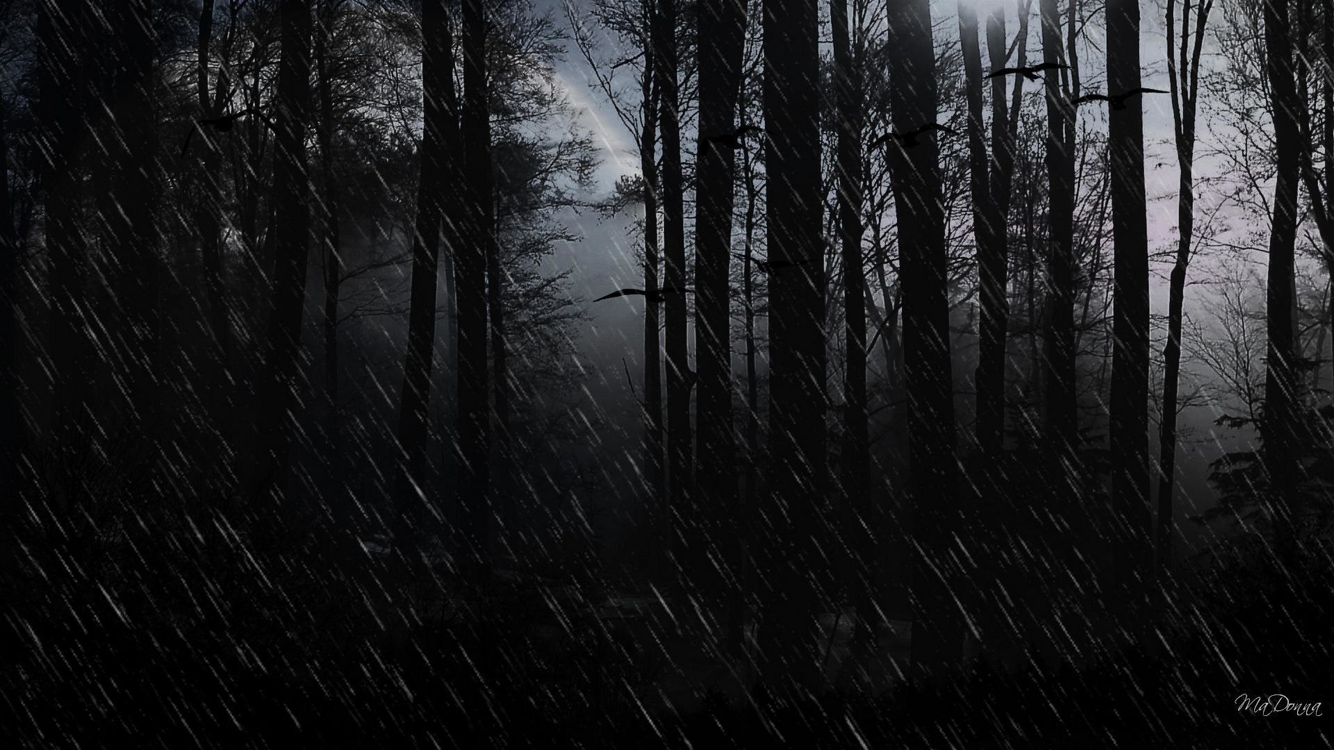 Wallpapers Dark Evil Rain Showers Forest Trees 1920x1080PX .