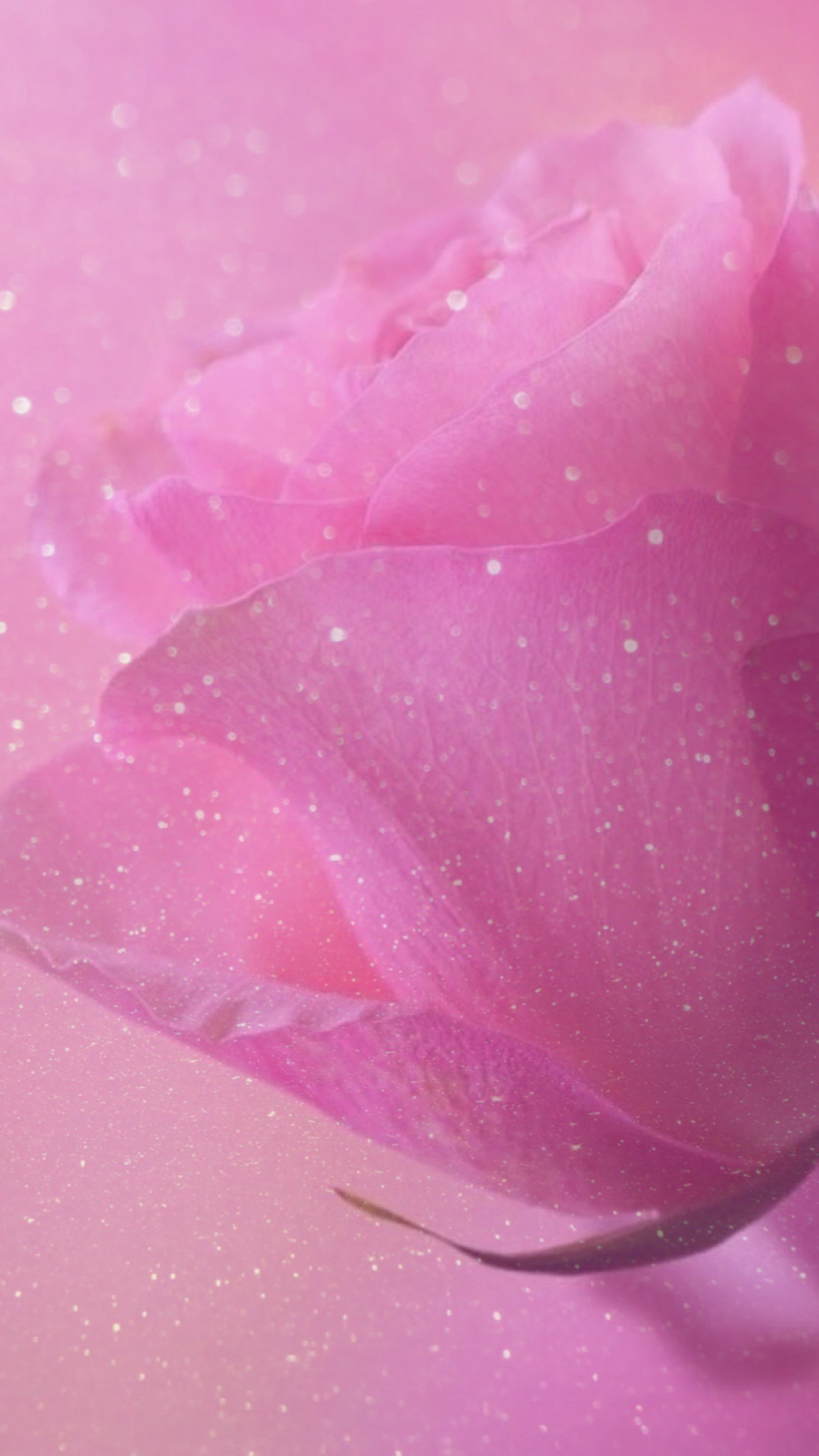 Rose, sparkle, glitter, wallpaper, background, pink, pretty, girly,