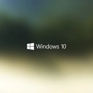 2560×1440 Wallpaper Windows 10
