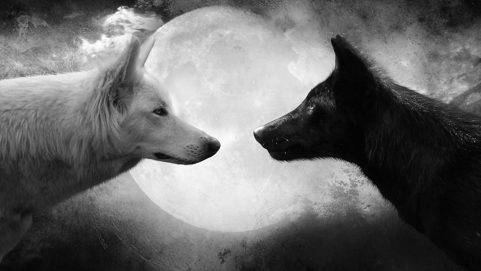 Full Moon Wolf Howling Wallpaper Pagan stuff Pinterest HD Wallpapers Pinterest Wolf wallpaper, Wallpaper and Wallpapers android