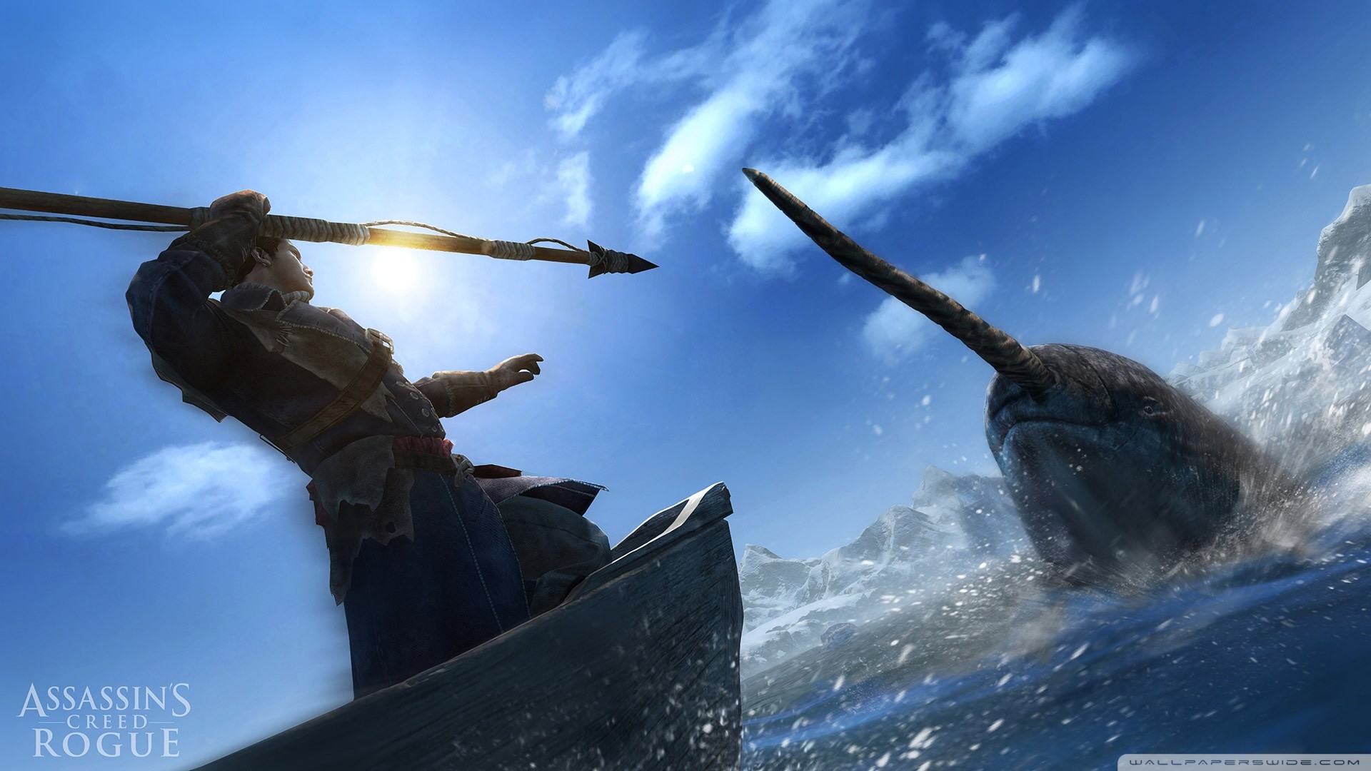Assassins Creed Rogue Hunting Narwhal HD Wide Wallpaper for Widescreen