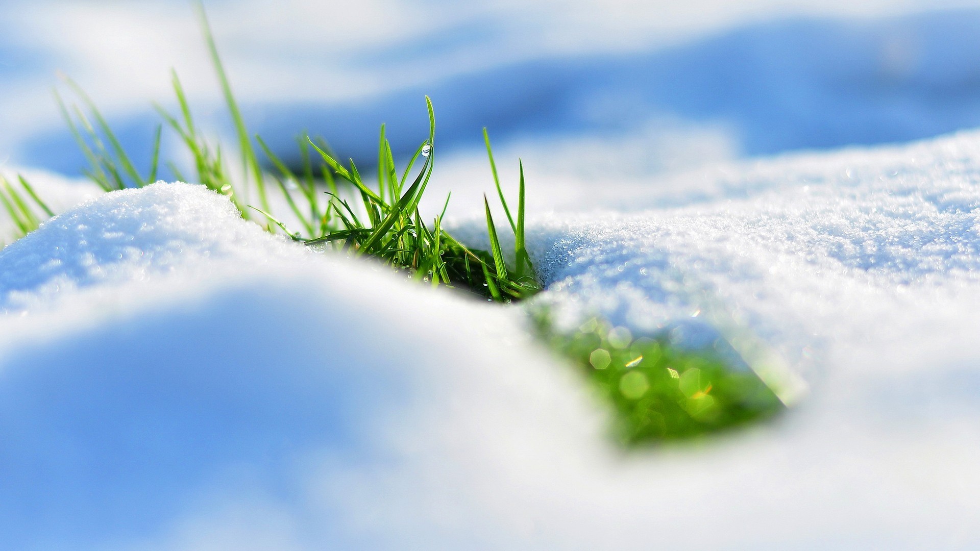 Preview wallpaper spring, snow, grass, reflections 1920×1080